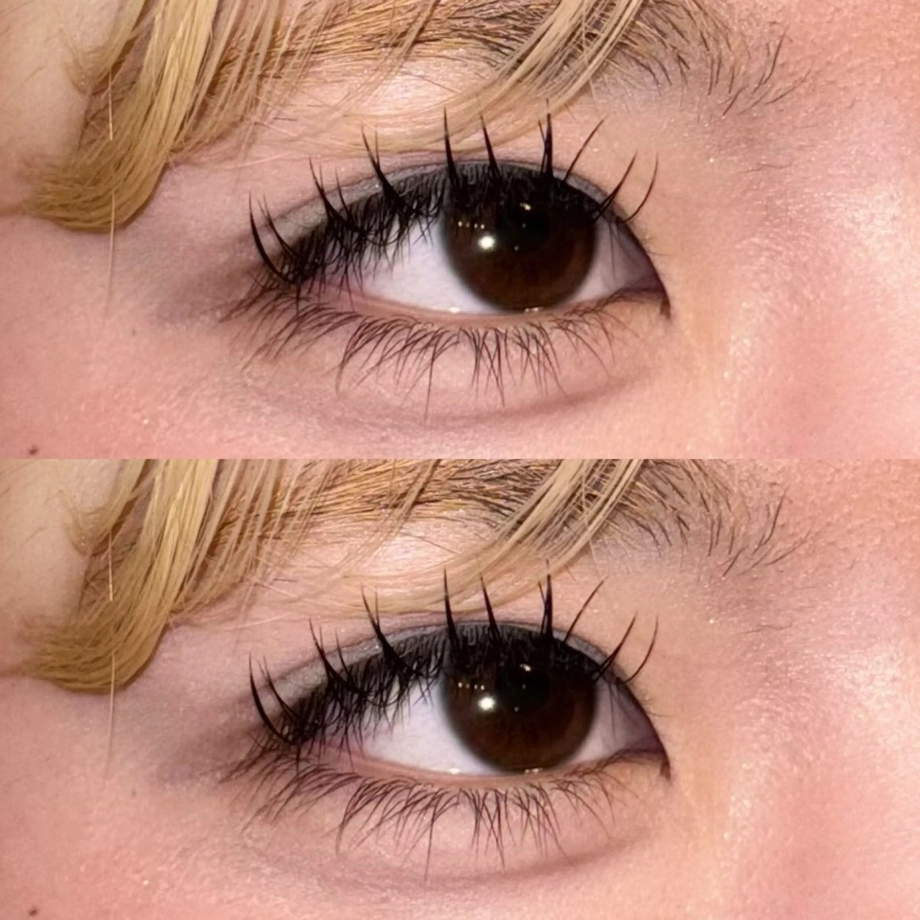 マツエク・マツパ 🍇chinatsu 🍇en Rêveのマツエク・マツパデザイン