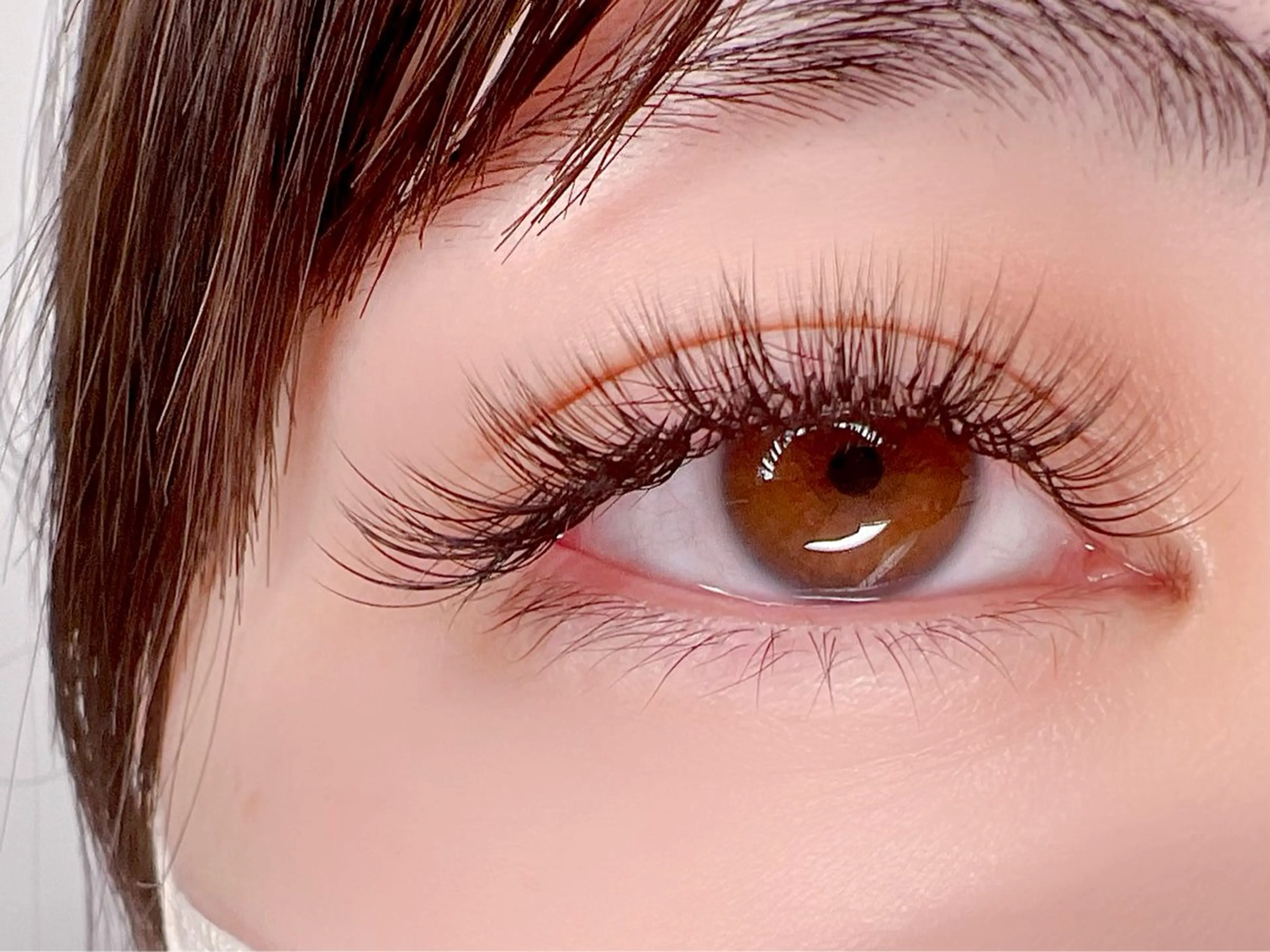 🌈【ご新規様限定！】ナチュラルに盛れる✨ブラウンカラーボリュームラッシュ130束/約400本(他店オフ込)の写真