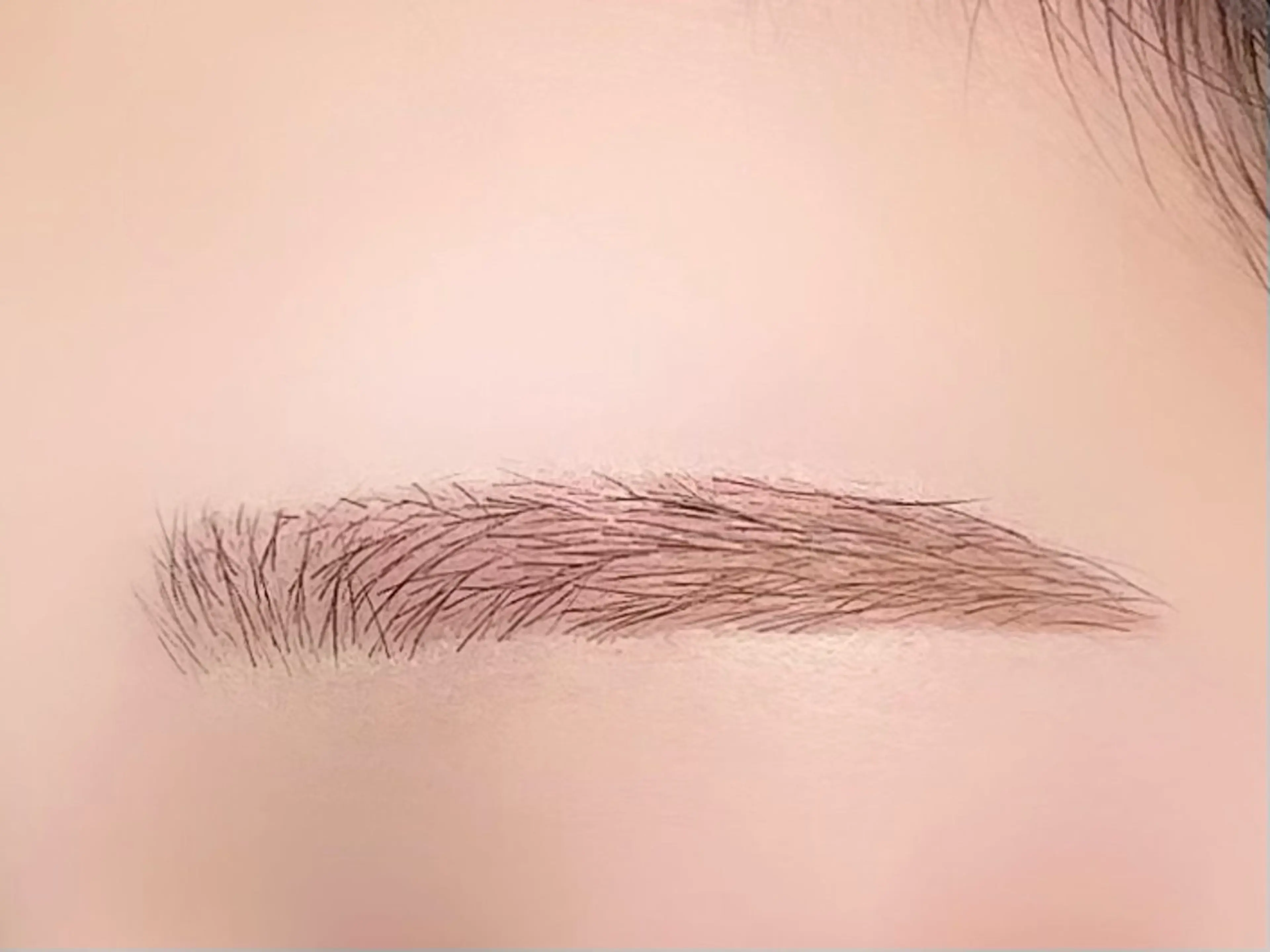 アイブロウ カナ 🎀のその他イメージ