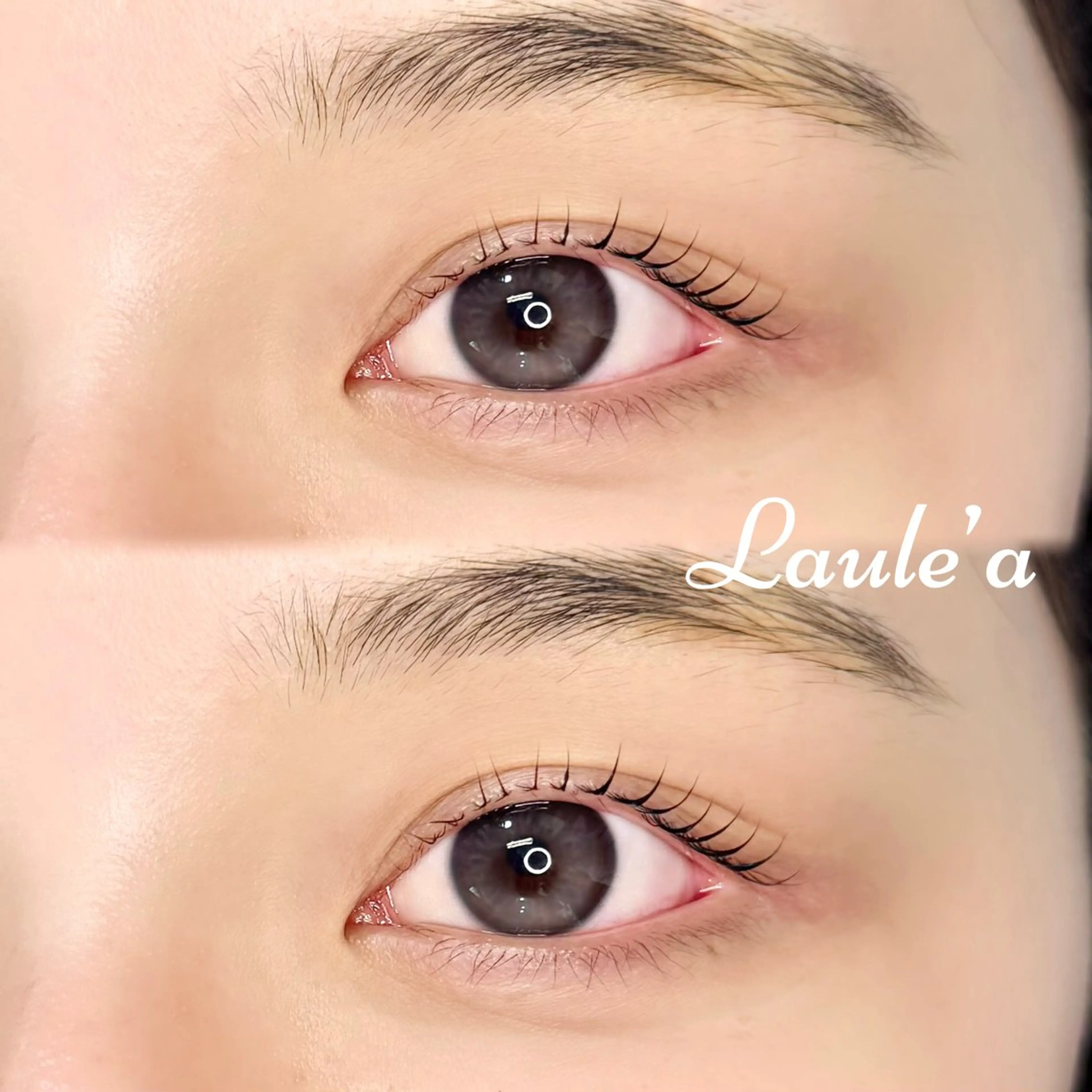 マツエク・マツパ Laule’a 【まつげと眉毛サロン】所属・Laule’a / JURI♡のマツエク・マツパデザイン