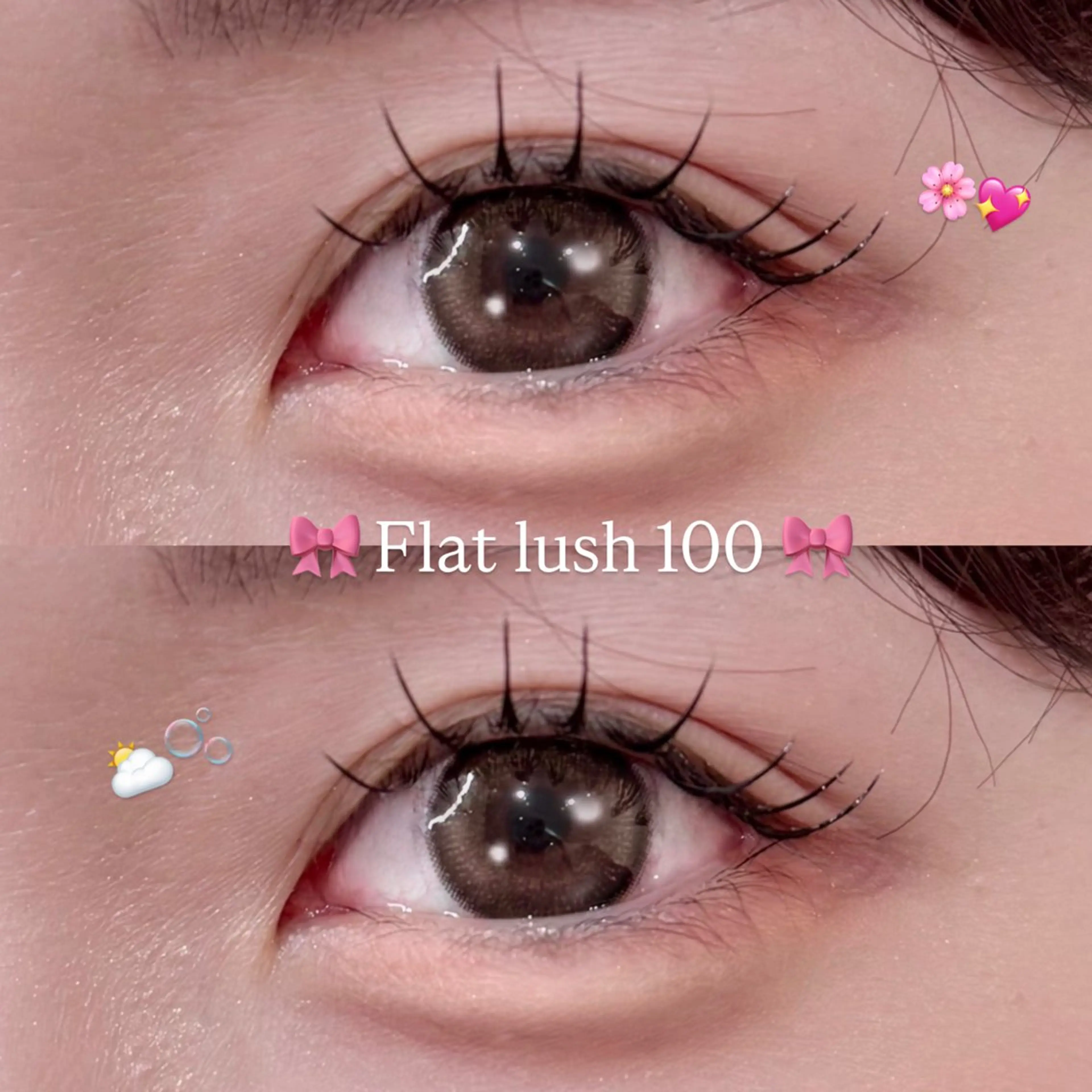 Flat lush 100本✦. ˚ ೯ ⁺.コーティング付き⋈ *。の写真