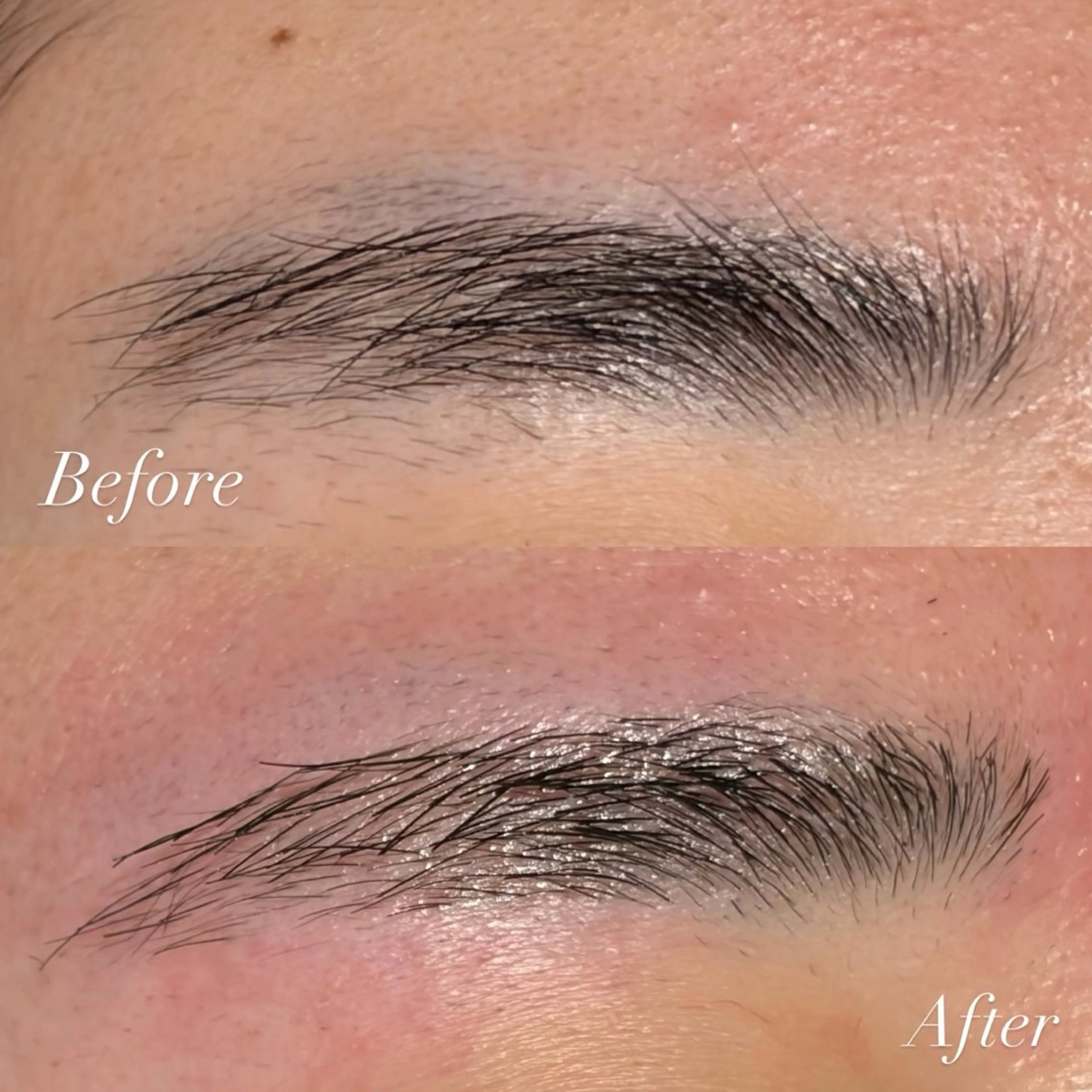 ã¢ã€ãã㊠ã¯ãã¯ã¹è±æ¯ çã«ãã ãã®ä»(ã¢ã€ãããŠ) ãªãªã¿.âðð è¶ã«ã©ãŒ/ãŸã€ãã®ãã¢ã¹ã¿ã€ã«