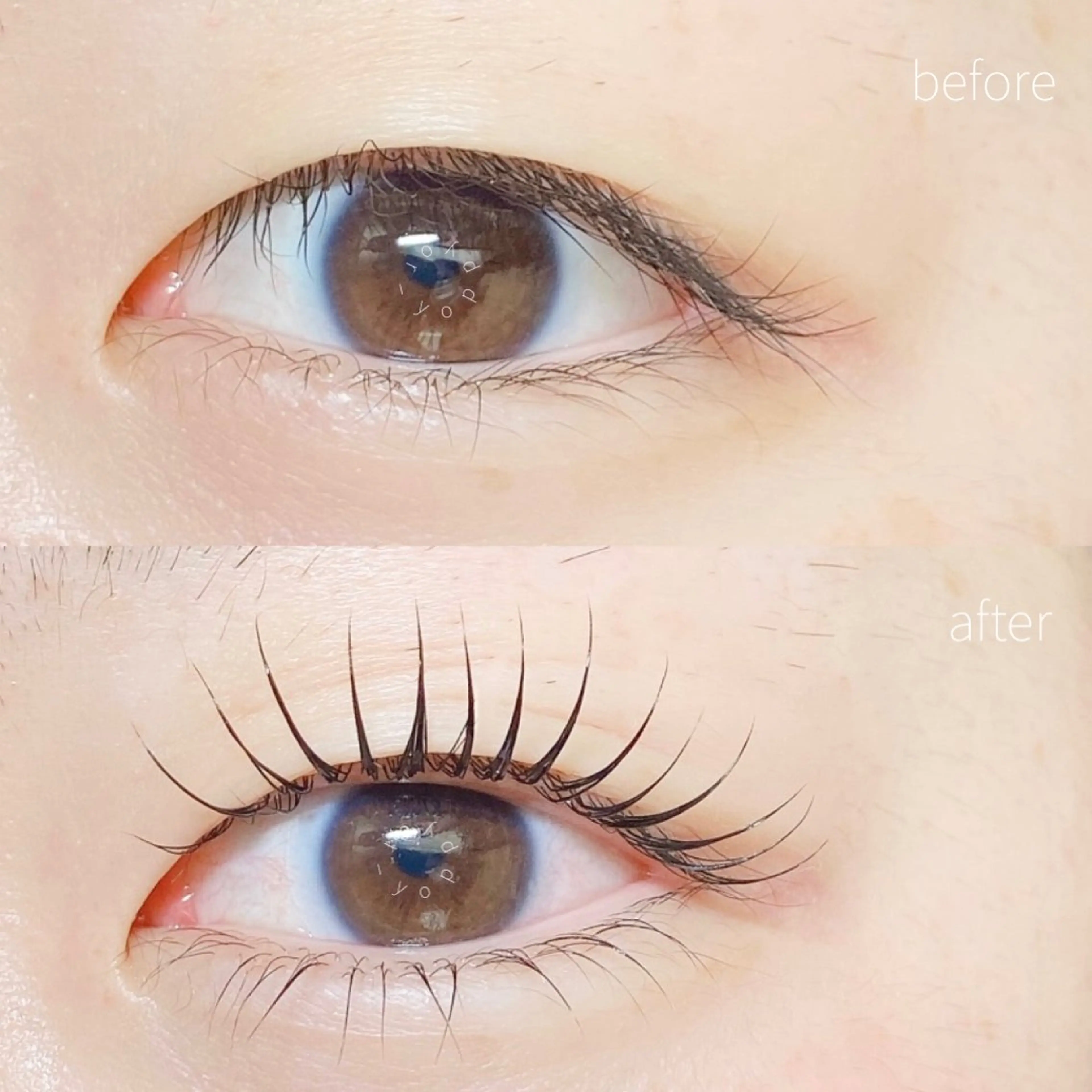 マツエク・マツパ or LATTe 仙台店のマツエク・マツパデザイン