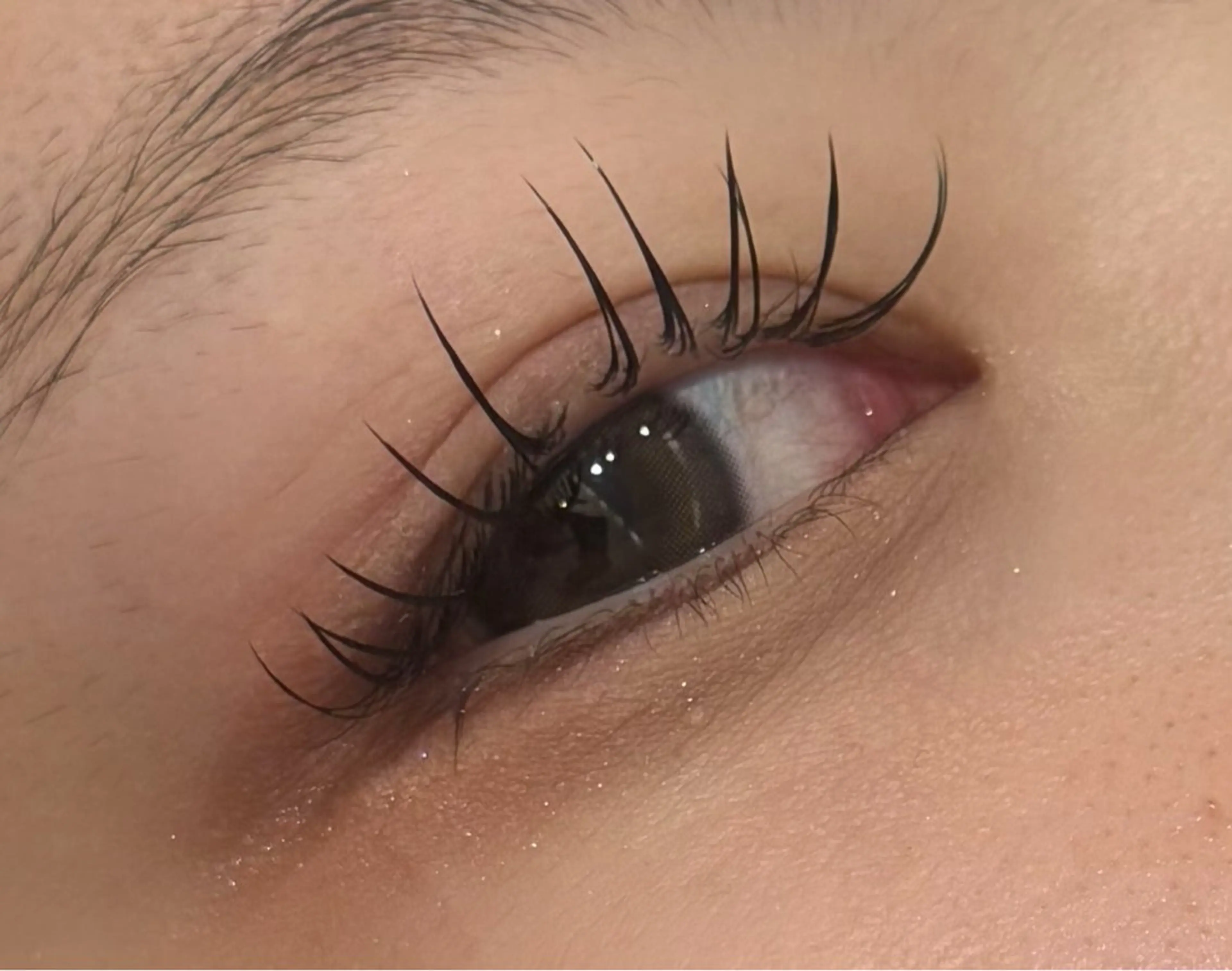 🎀オフなし🎀フラットラッシュ120本【LED+800円】の写真