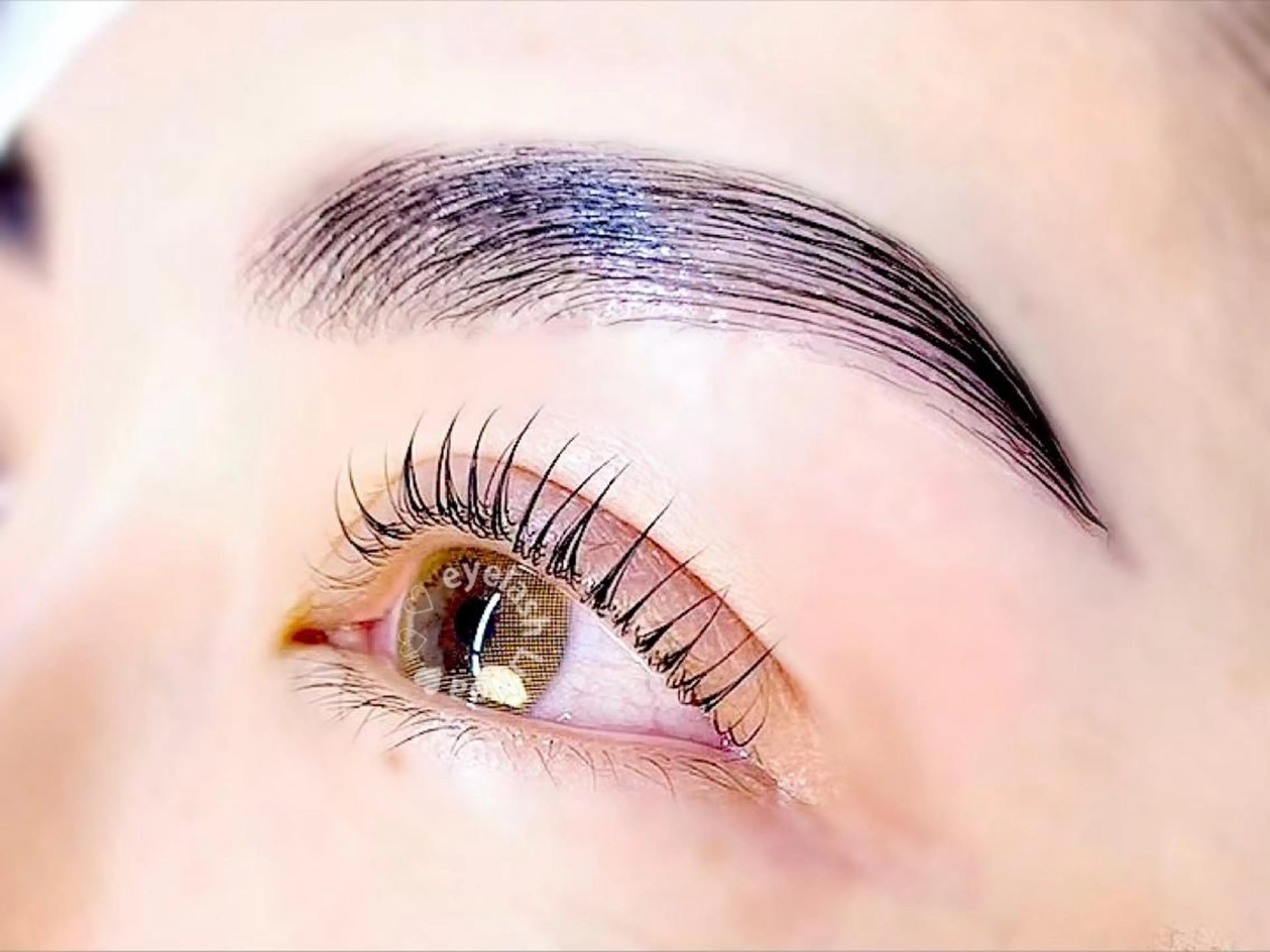 【まつげパーマ+ハリウッドブロウリフト】アイシャンプー＆コーティング付の写真