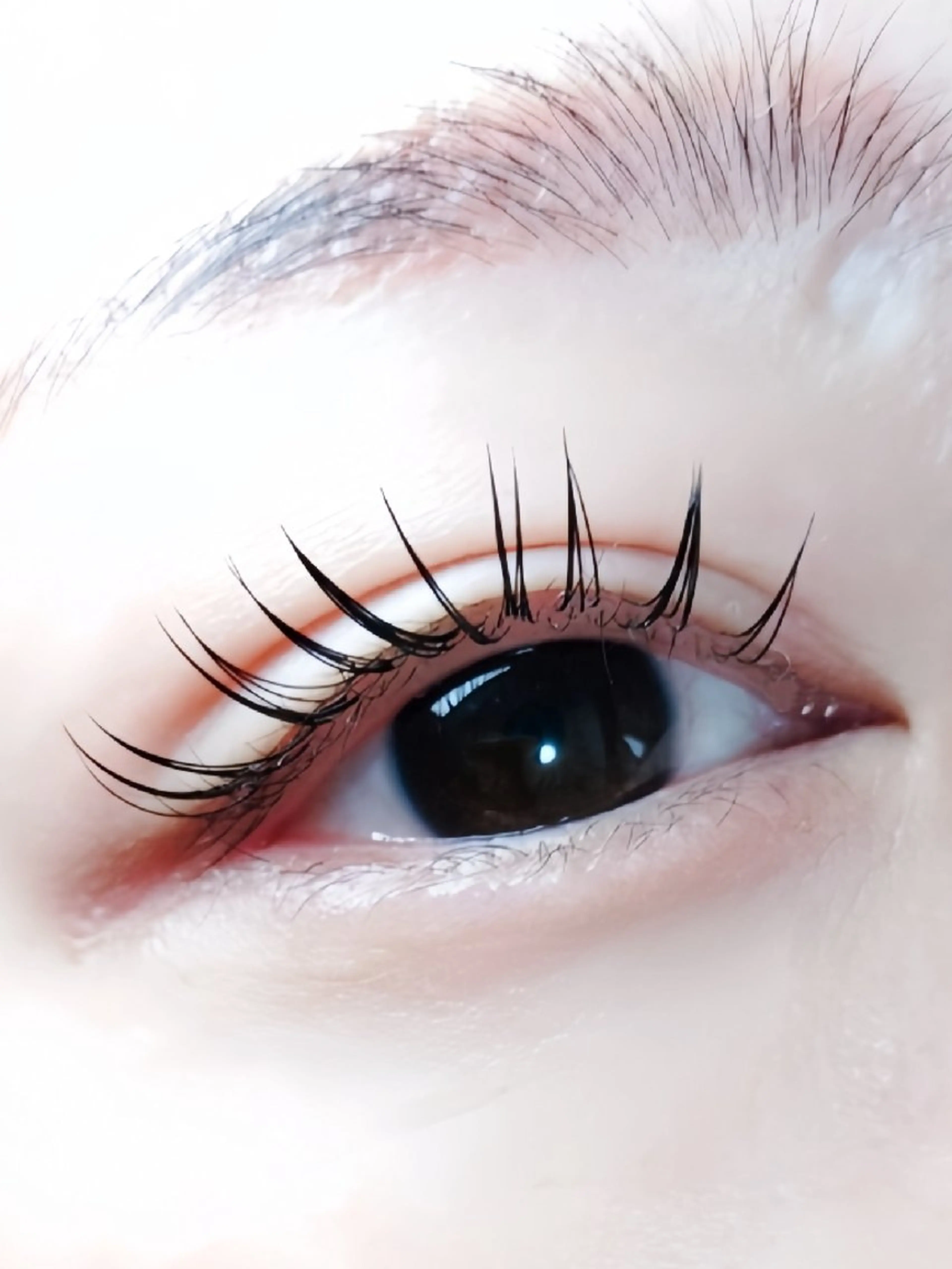 フラットマットラッシュ60本+バインドロック20束（合計80本）オフ無料の写真