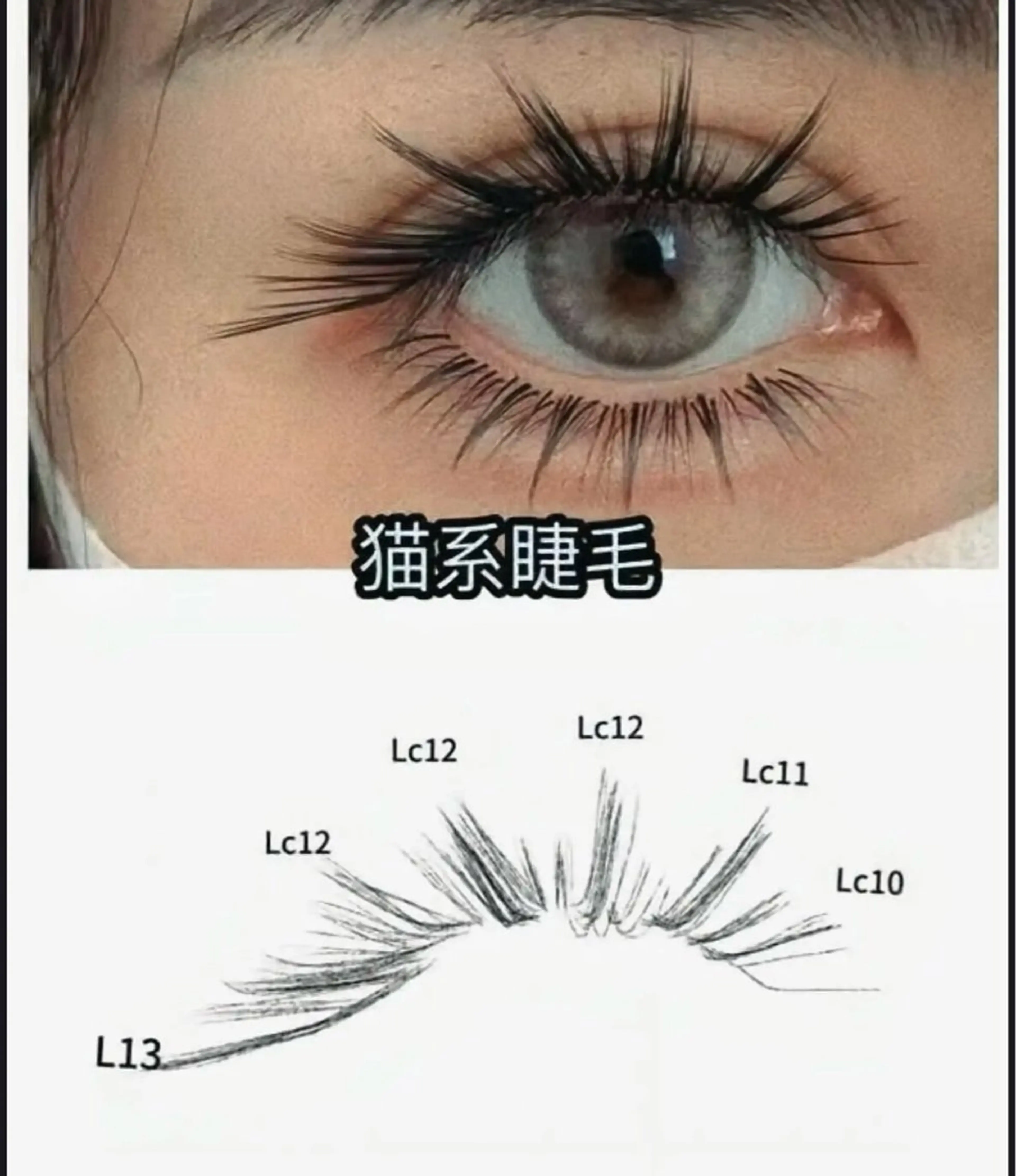 マツエク・マツパ マツエク モテデザインのプロ モモ🍑のマツエク・マツパデザイン