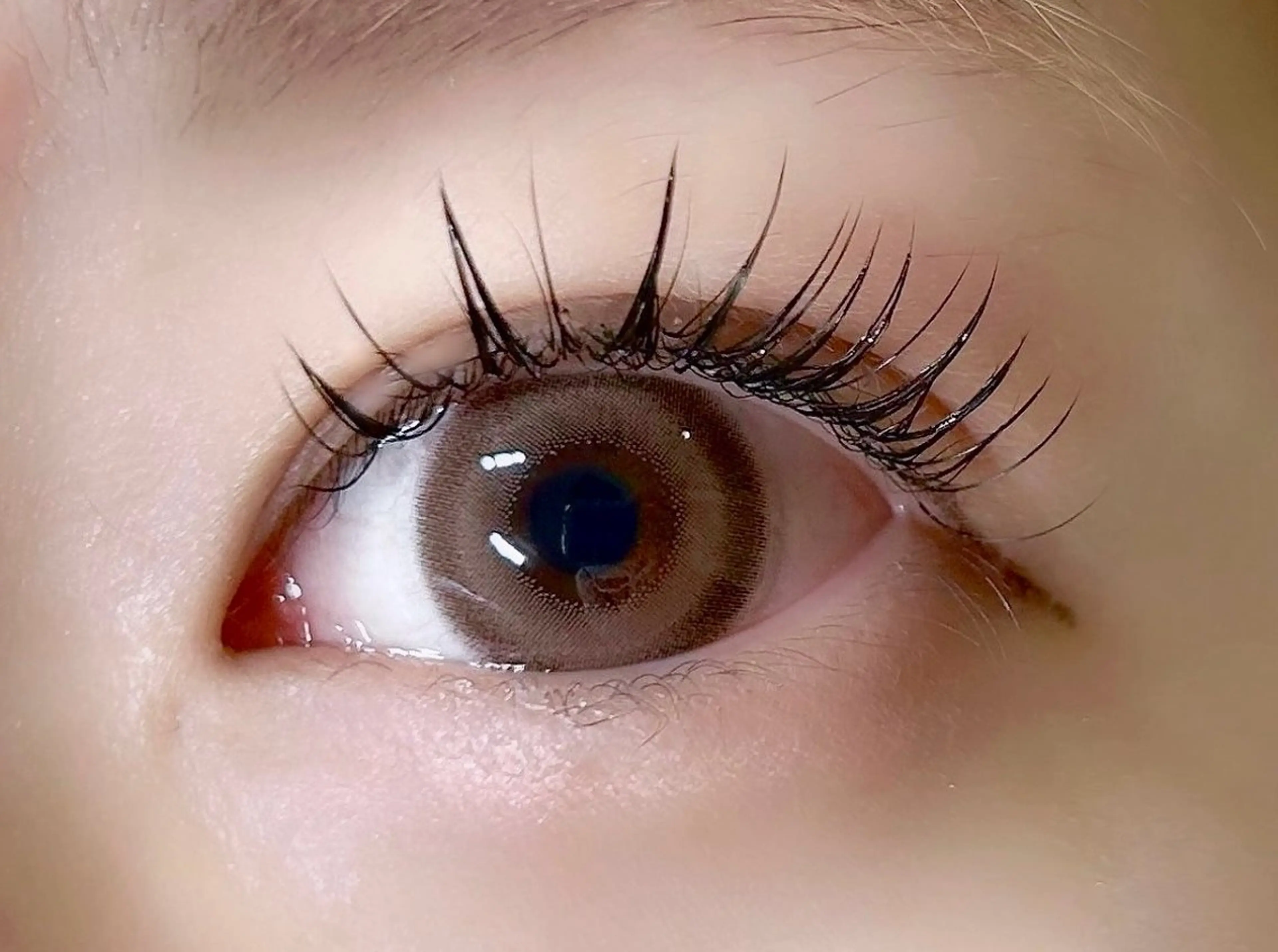 大人気🌟フラットラッシュ80本+コーティング付き💓の写真