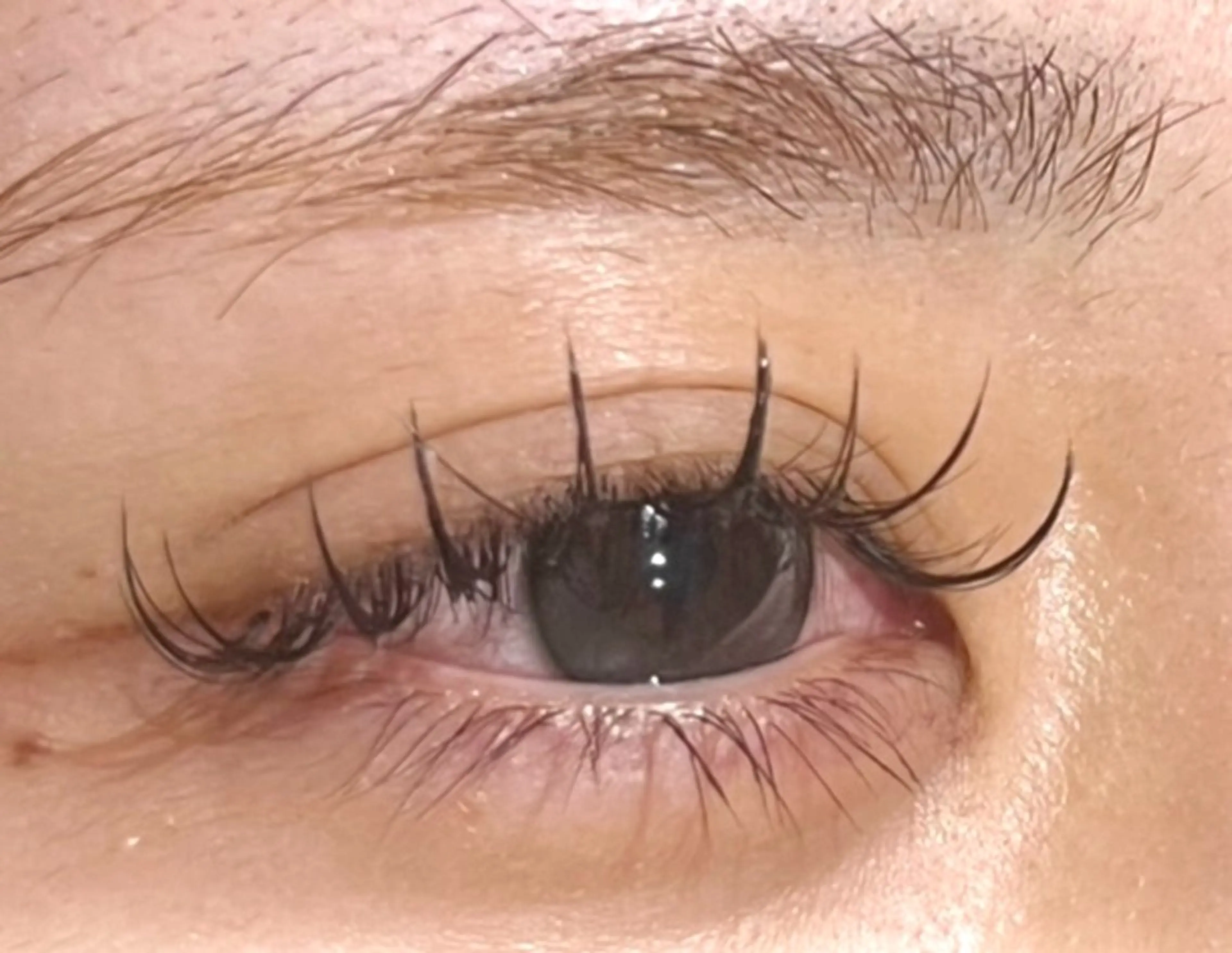 マツエク・マツパ lucil eyelash ルシル VIERRＡ塚口店【まつ毛パーマ/マツエク/眉毛専門店】所属・lucil 門木の眉毛・アイブロウイメージ