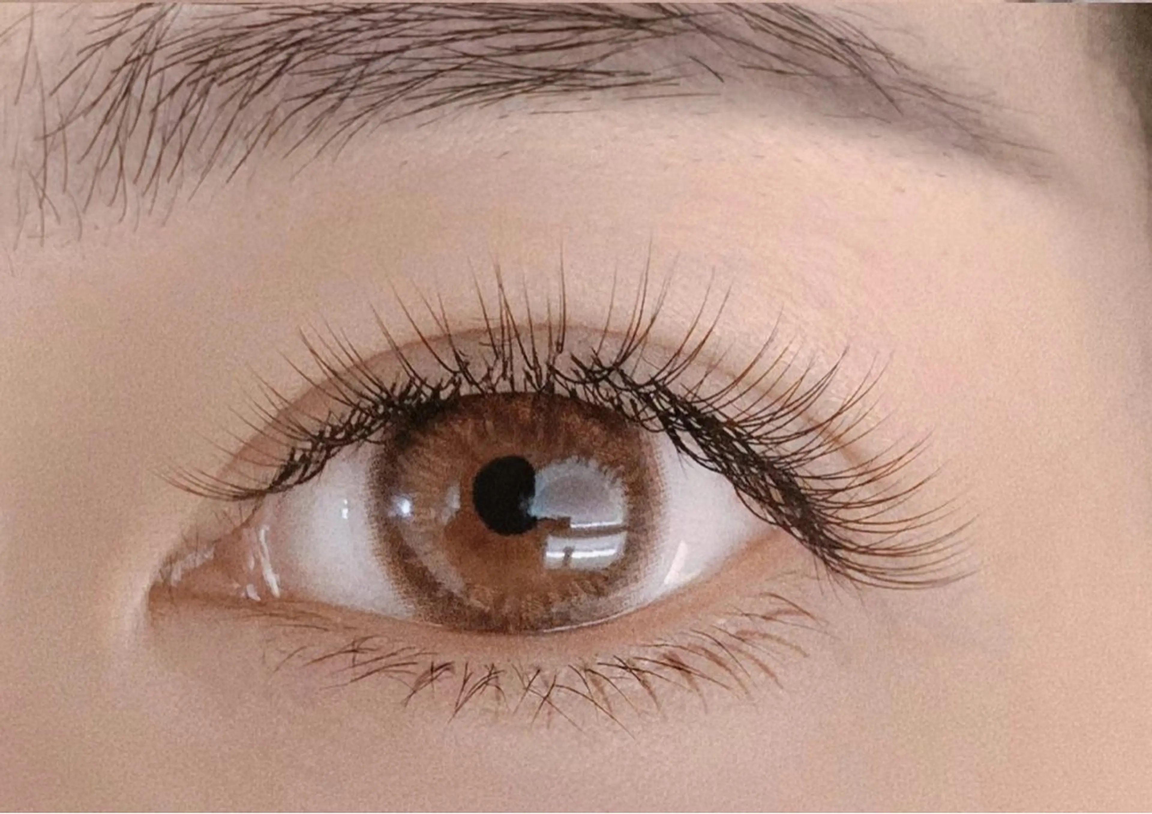 マツエク・マツパ 付け放題 バインドロック 束感まつ毛 カラーマツエク フラットラッシュ Ｍ salon アイラッシュのマツエク・マツパデザイン