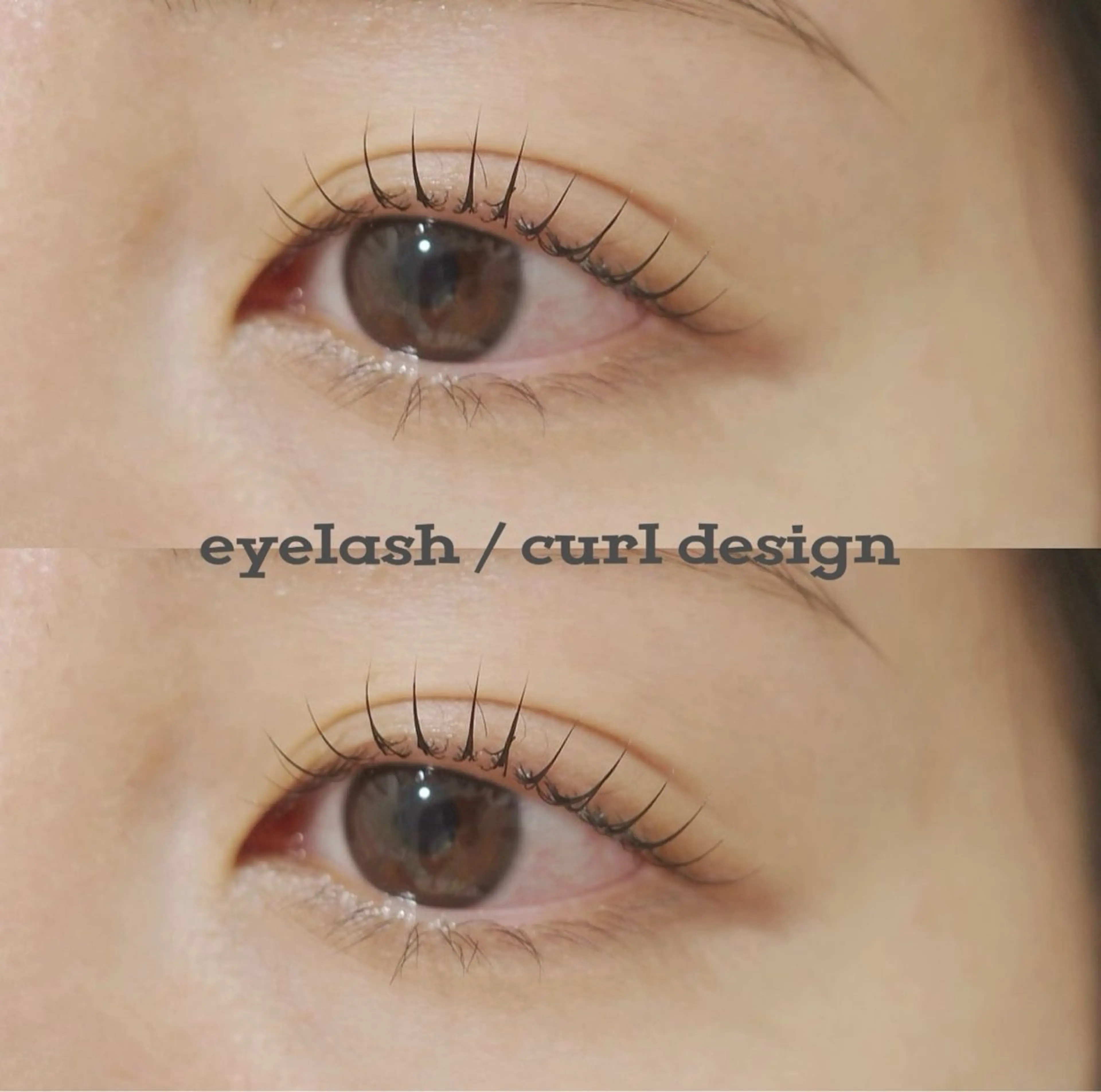 eyelash（上のみ）の写真