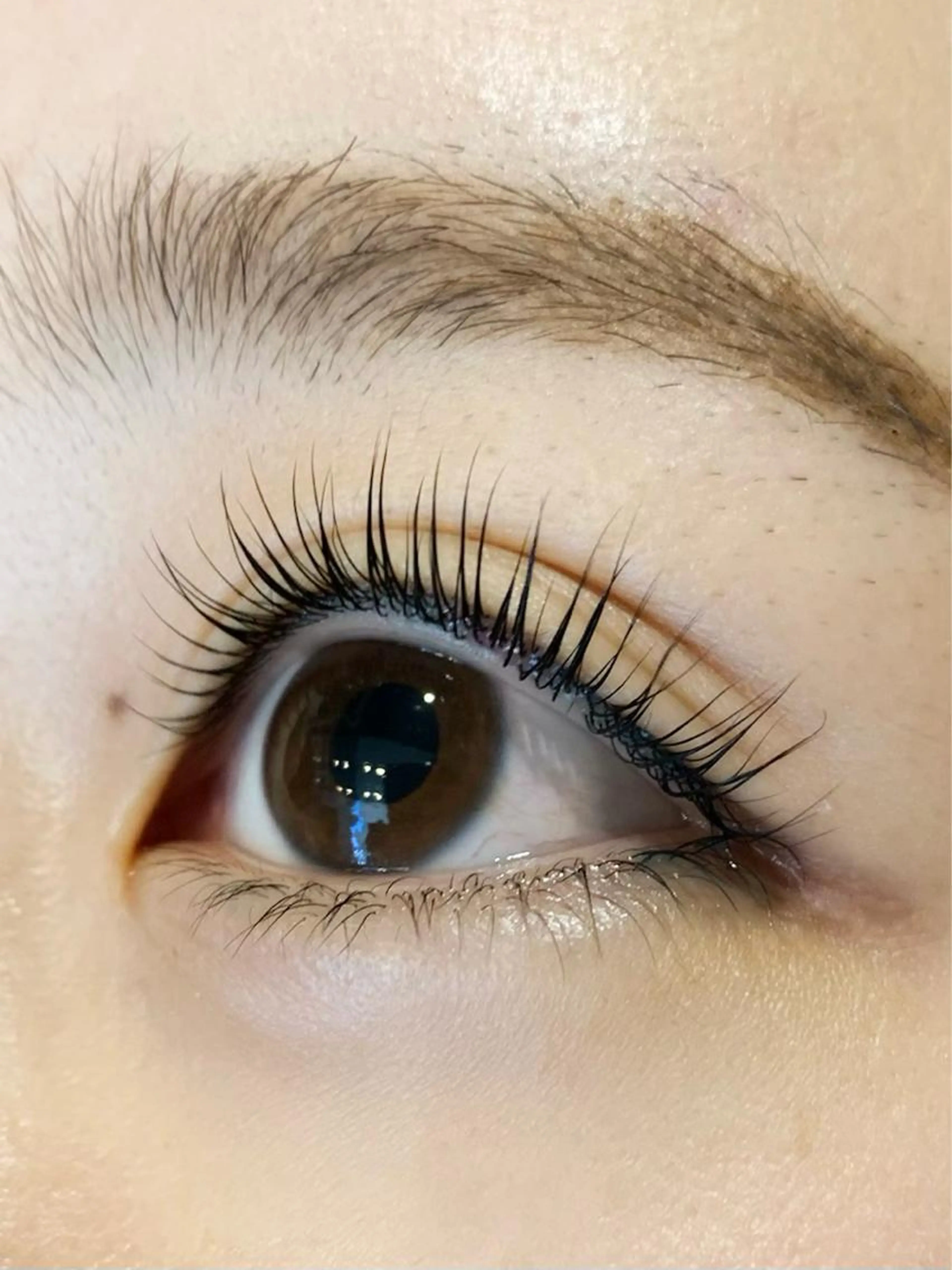 似合わせまつ毛パーマ(トリートメント仕上げ)の写真