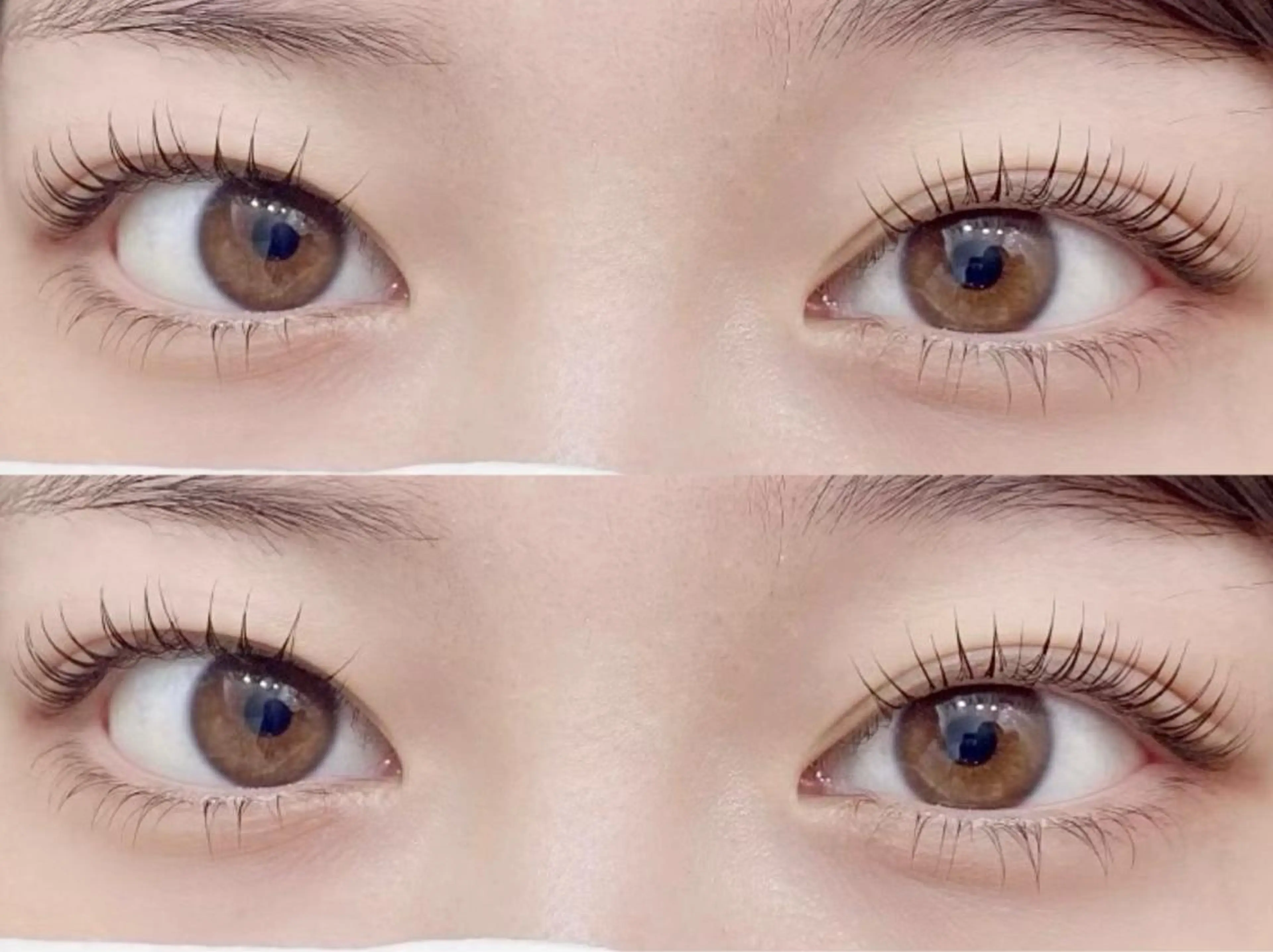 マツエク・マツパ マツパ Rabbit hagaのマツエク・マツパデザイン