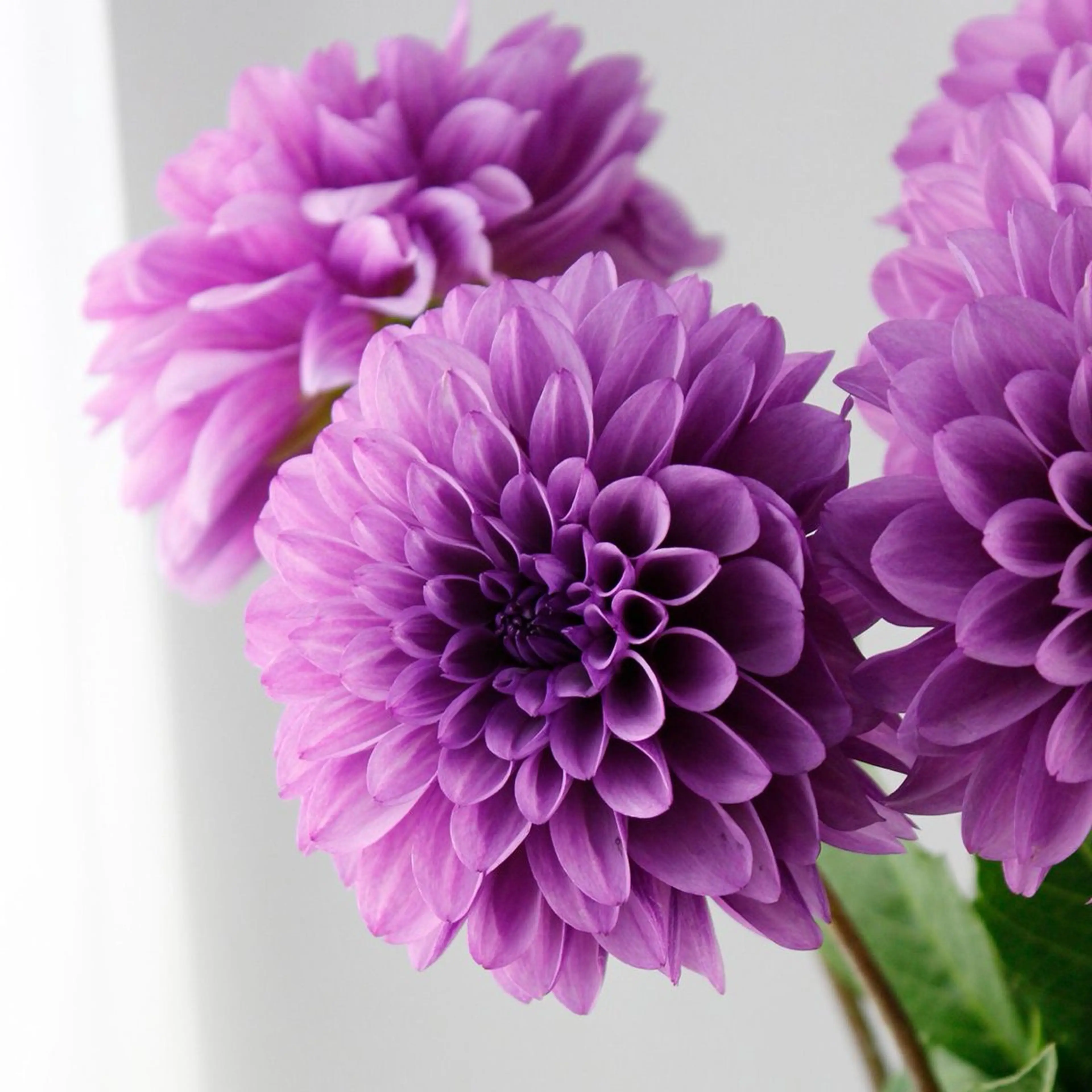 エステサロンmarry所属・エステサロン marryの眉毛・アイブロウイメージ