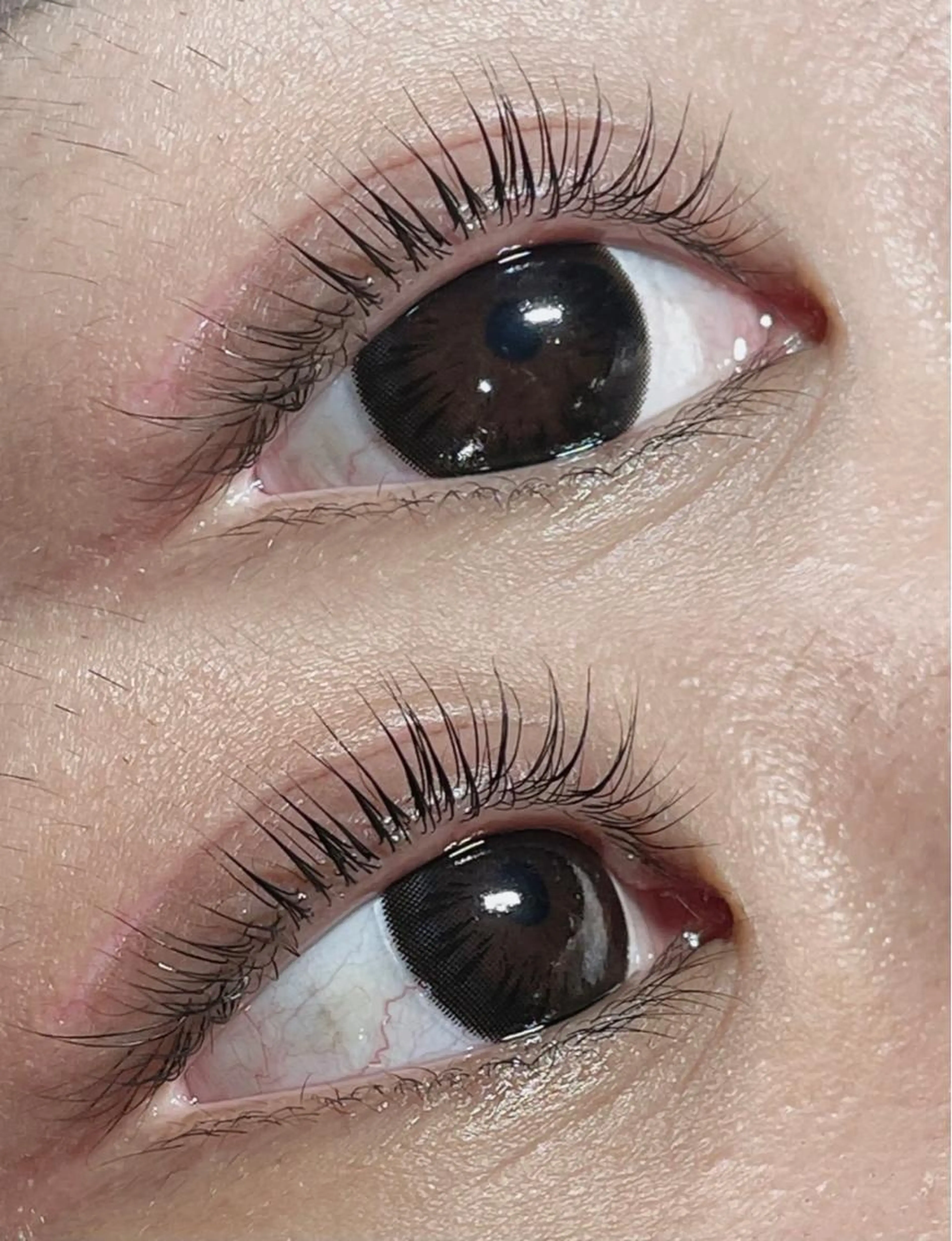 ケラチンラッシュリフト🤍トリートメント付きの写真