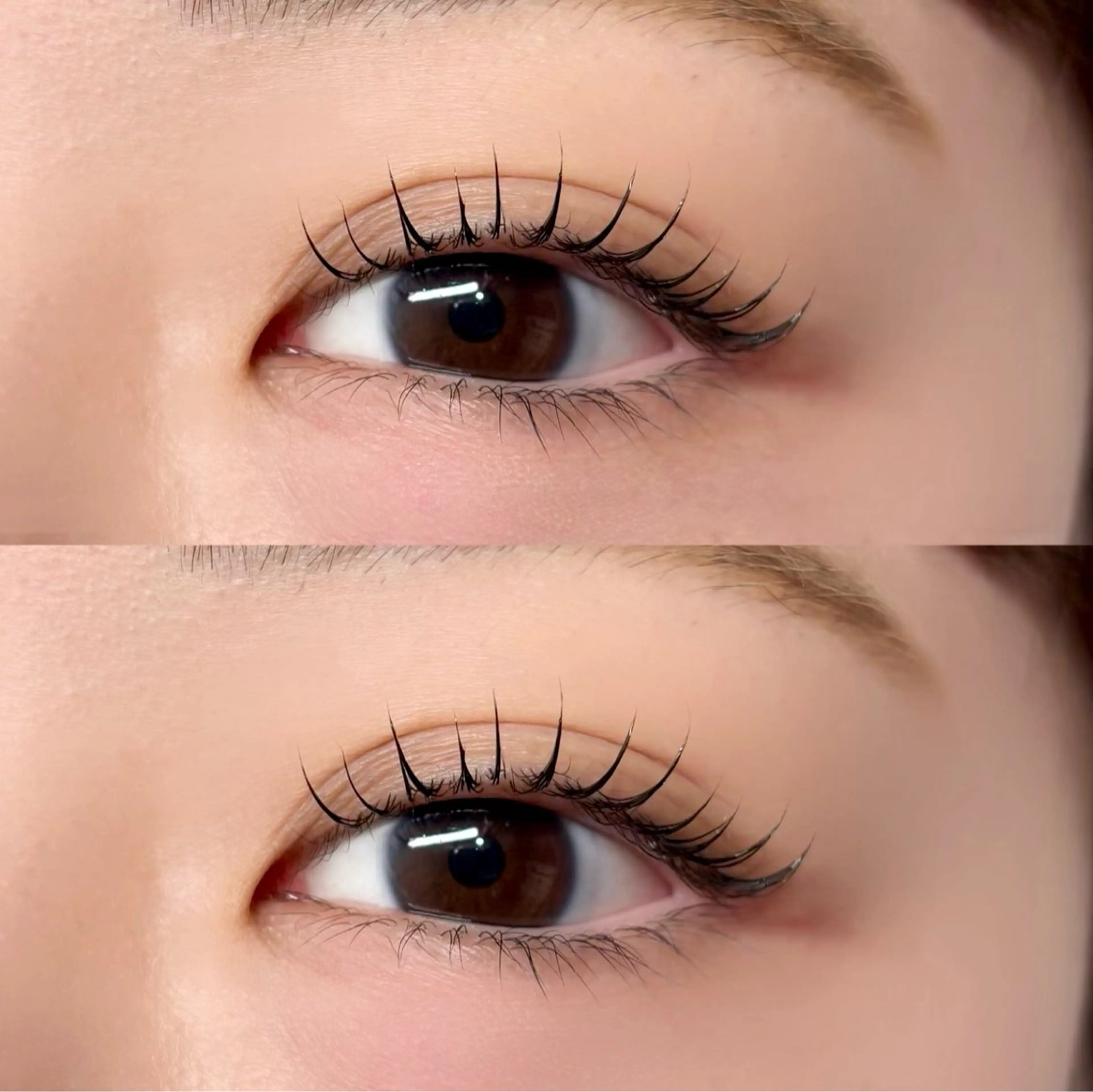 【ご新規様限定】ラッシュリフト　　5,100円の写真