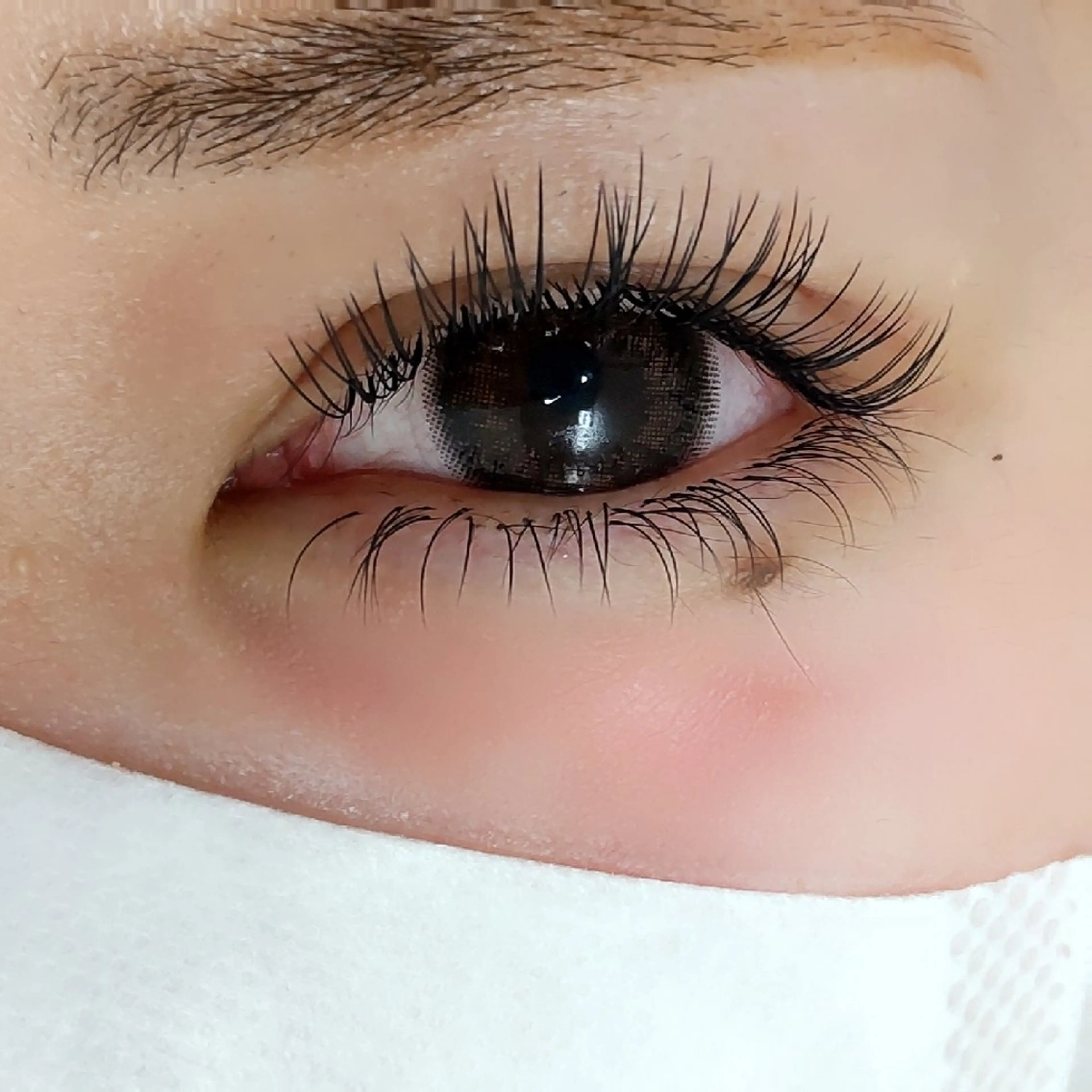 マツエク・マツパ 下まつげエクステ Beauty salon Eye′s なんば本店所属・アイズ ふじはらのマツエク・マツパデザイン