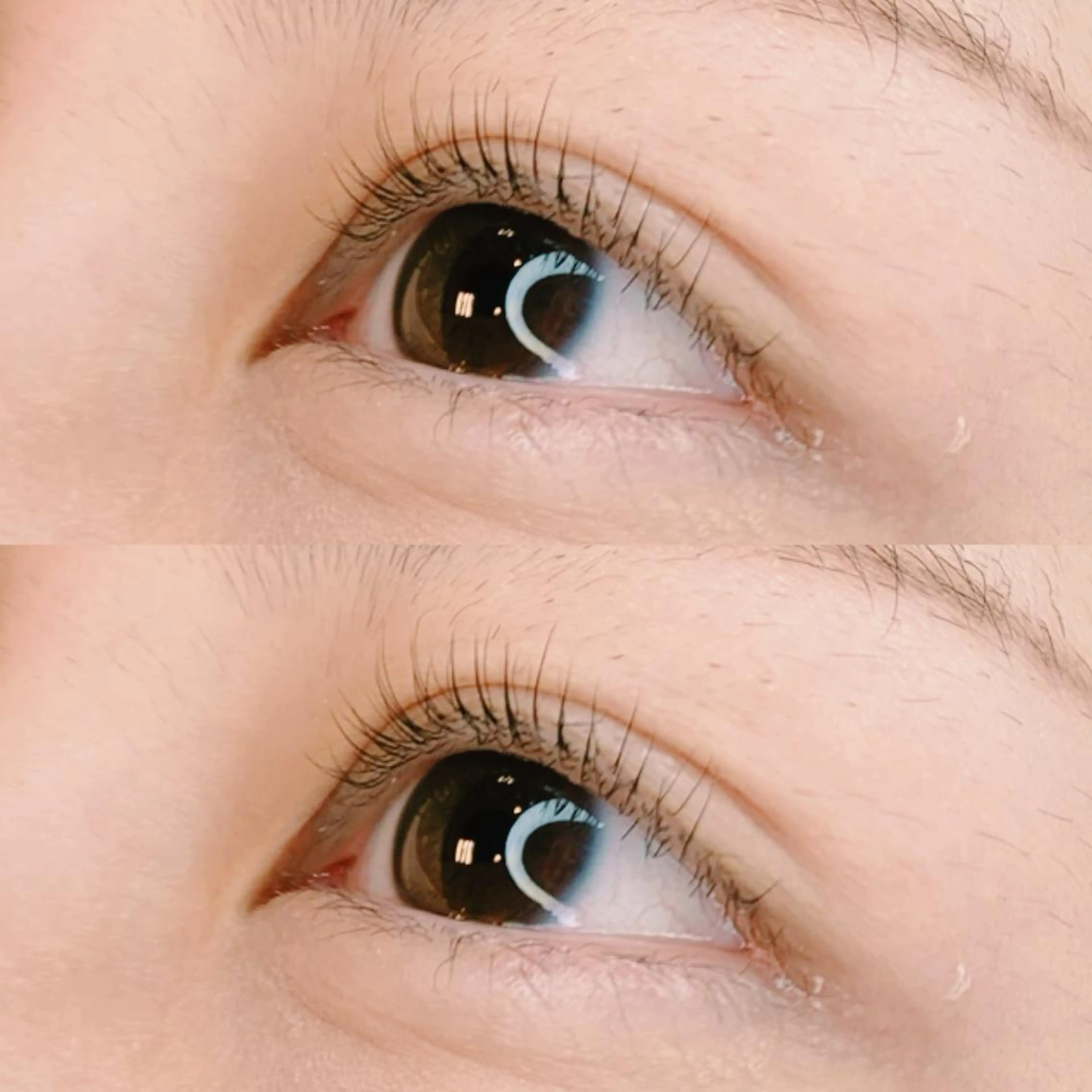 マツエク・マツパ パリジェンヌラッシュリフト eyebrow & eyelash WAVE所属・brow&lash WAVEのマツエク・マツパデザイン