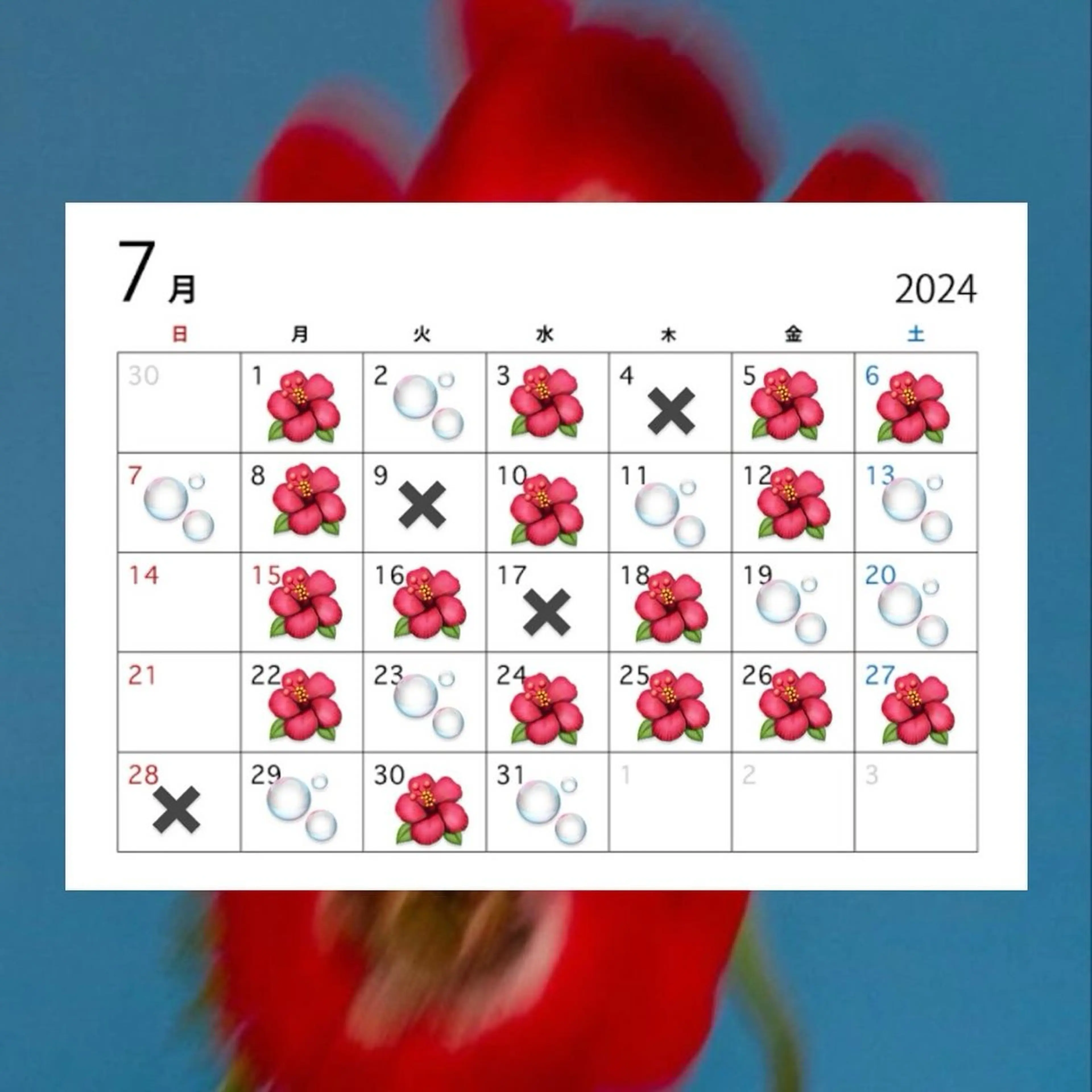 宮尾 愛海のヘアスタイル