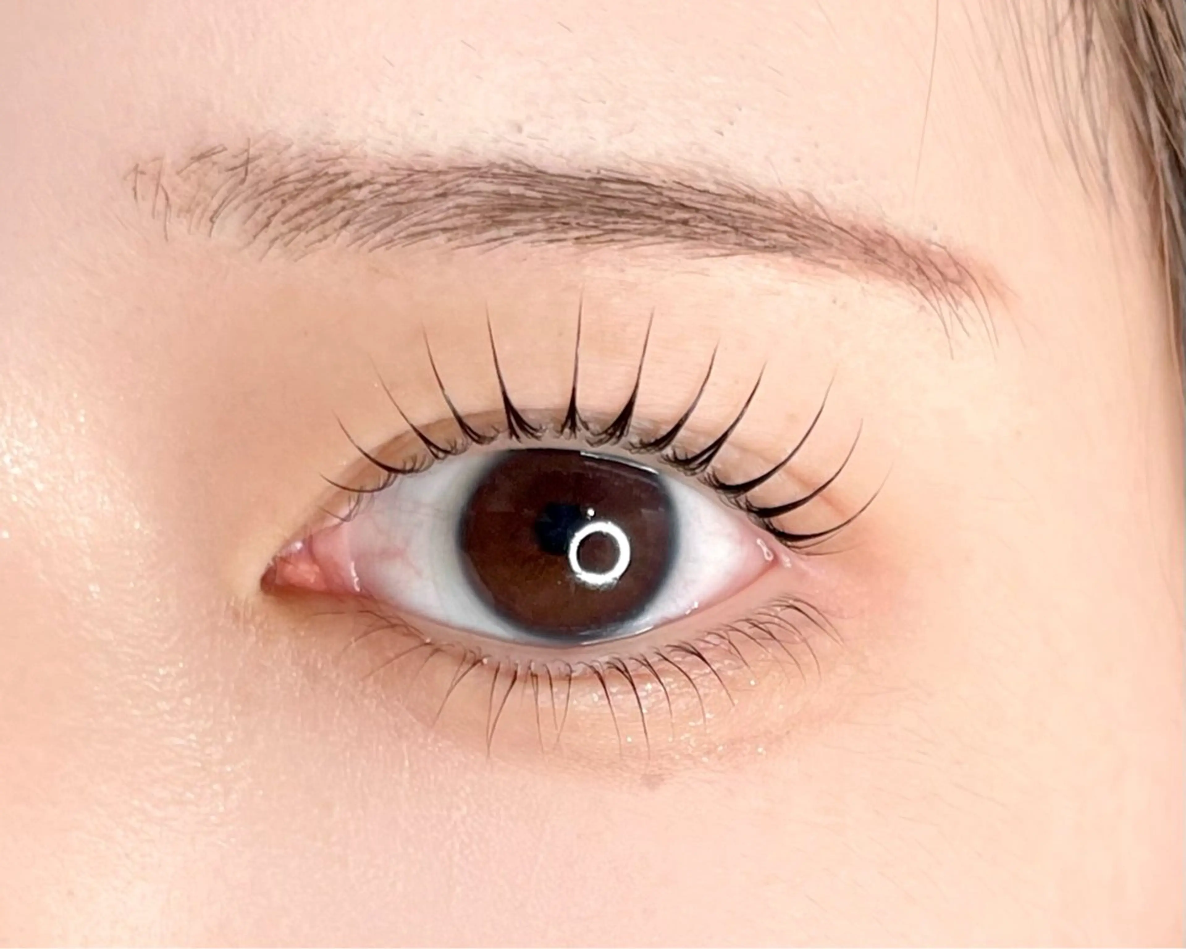 🎀まつげパーマ🎀ﾄﾘｰﾄﾒﾝﾄコーティング付きの写真