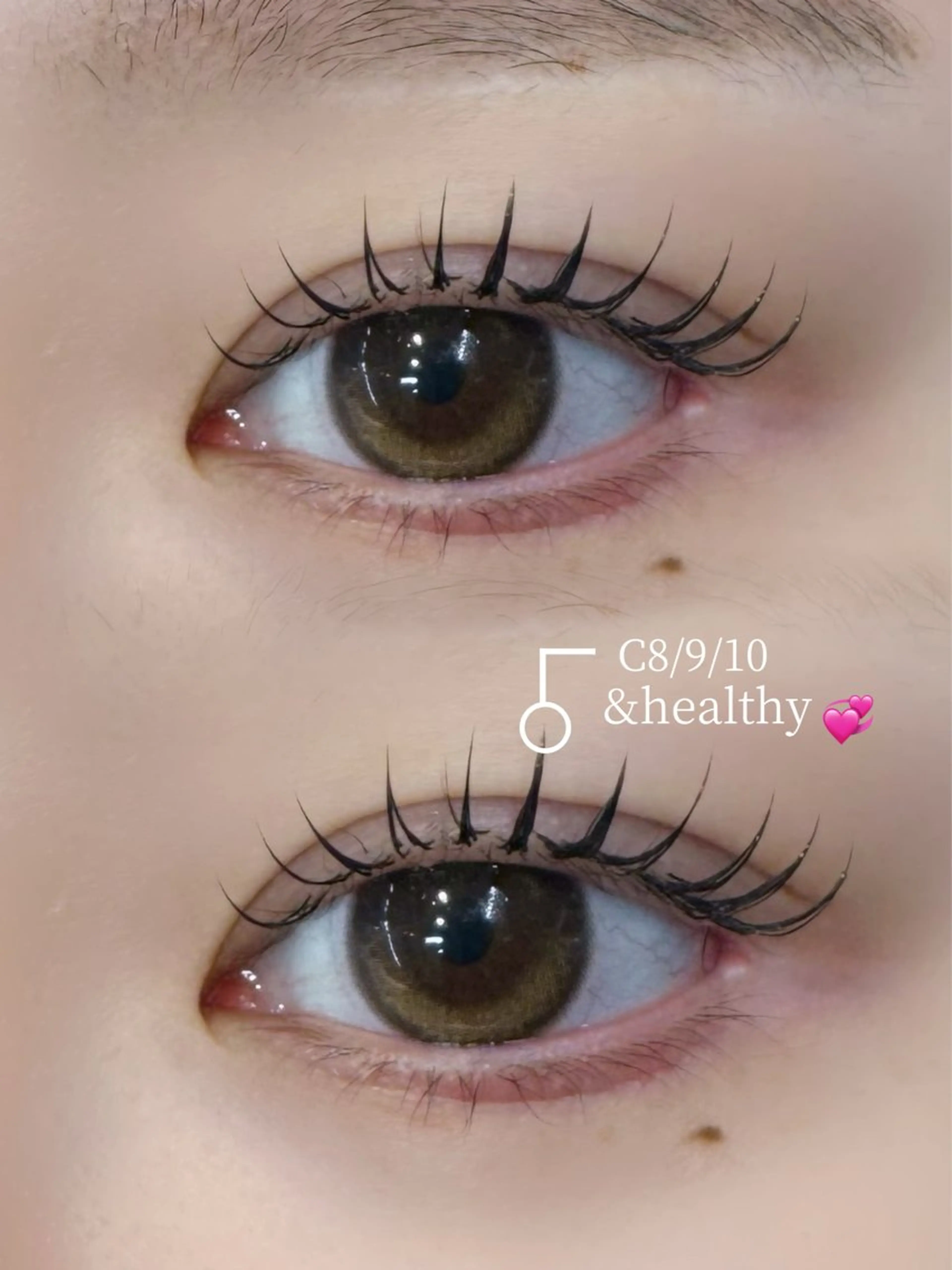 【ミニモ限定】パリエク100本（フラットラッシュ）🎀の写真