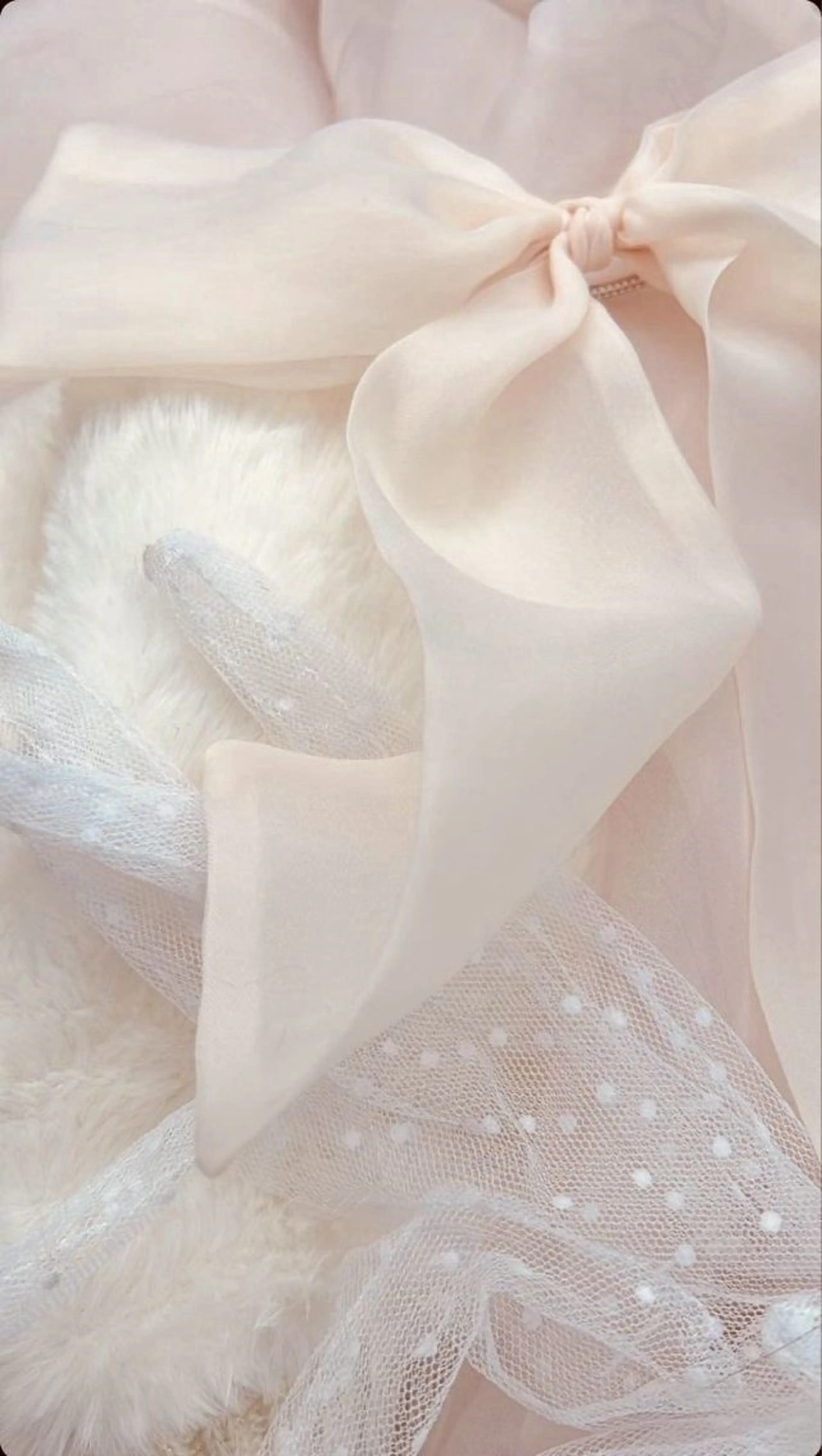 Rairia momoka🎀✨のマツエク・マツパデザイン