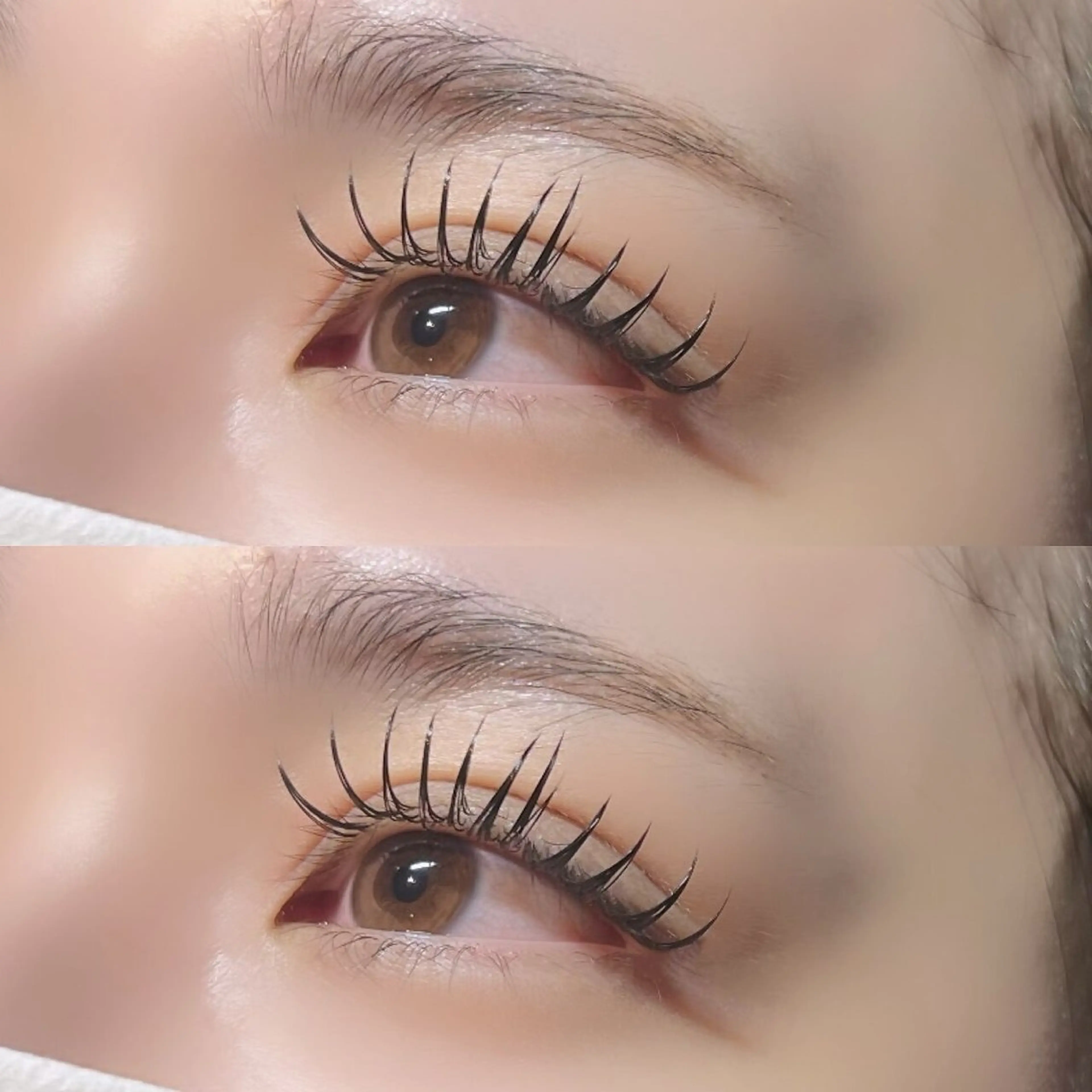 マツエク・マツパ 👑𝐊𝐢𝐧𝐠 心斎橋店🎀美麗のマツエク・マツパデザイン