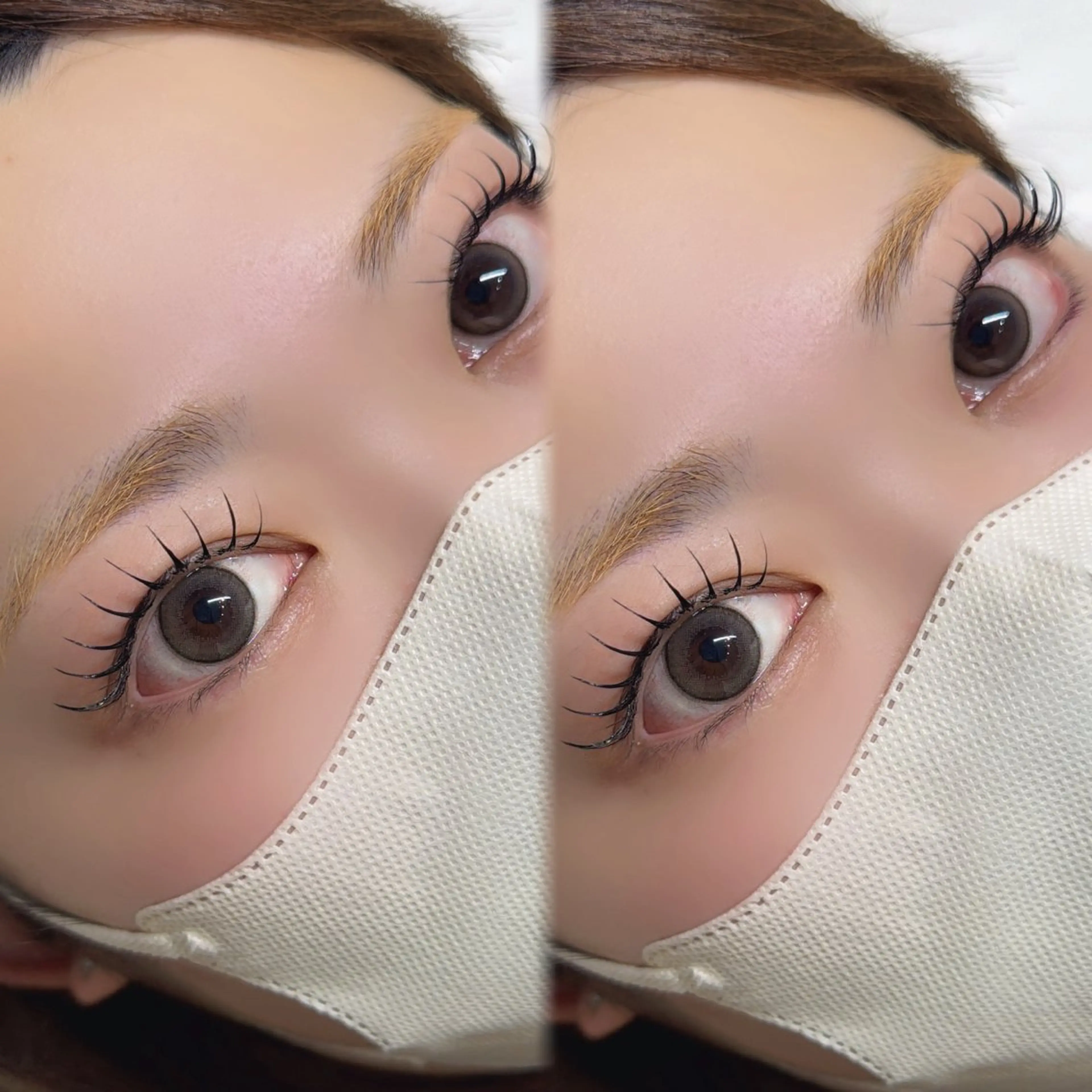 LEDフラットラッシュ120➕&healthyの写真