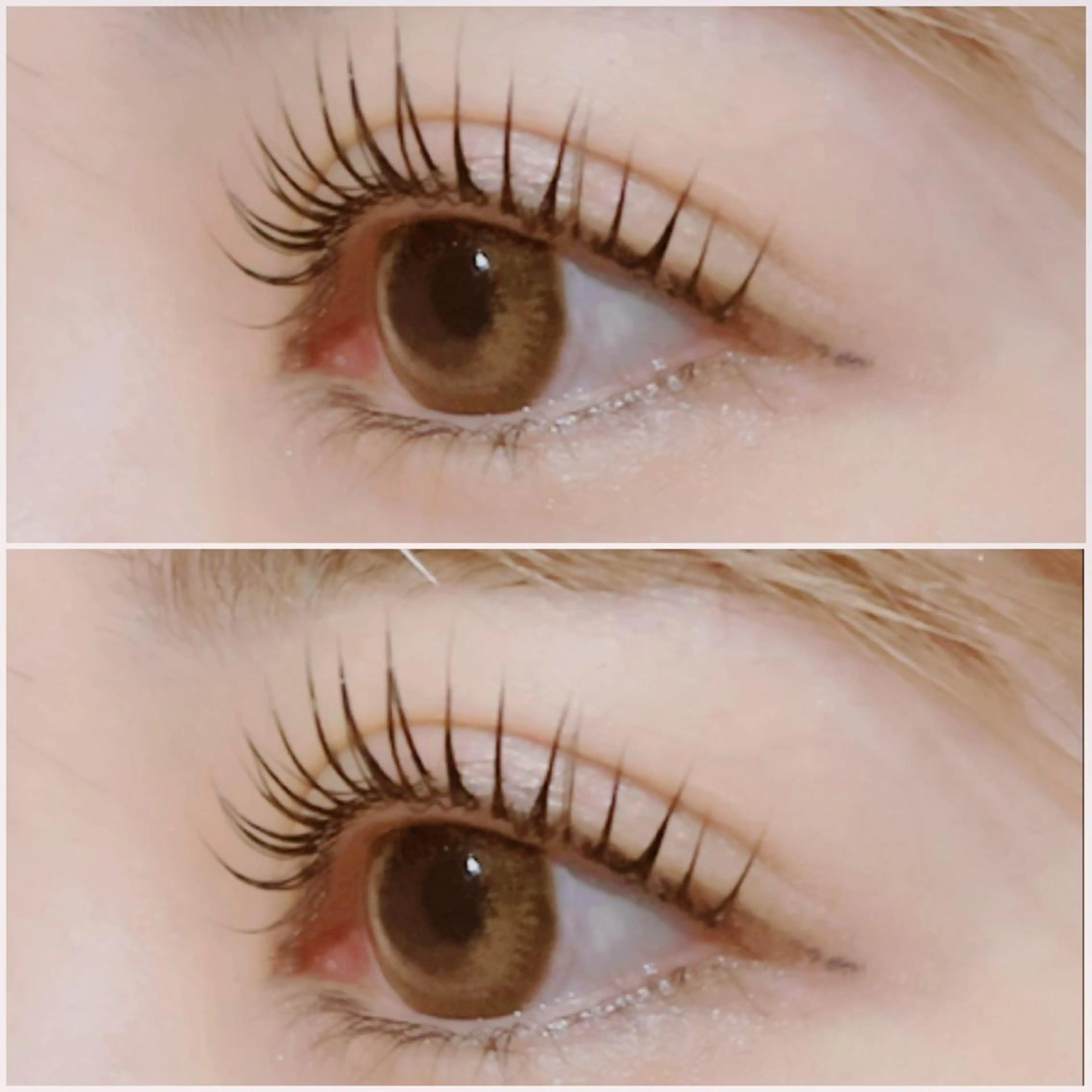 限定価格🍀✨パーマ•パリジェンヌ【3stepトリートメント付き】🌳の写真