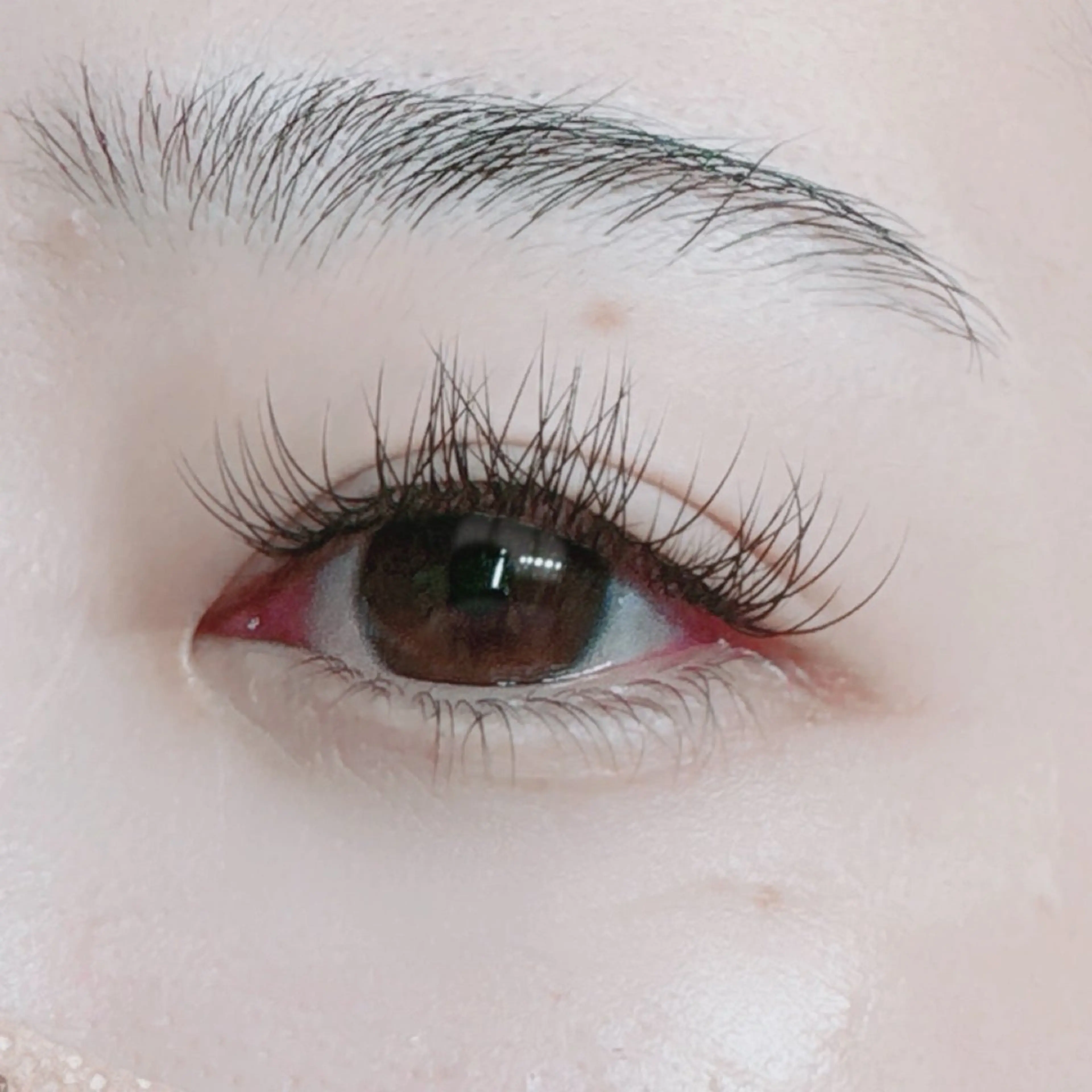 マツエク・マツパ MAQUIA志木店所属・MAQUIA志木店 太田のその他イメージ