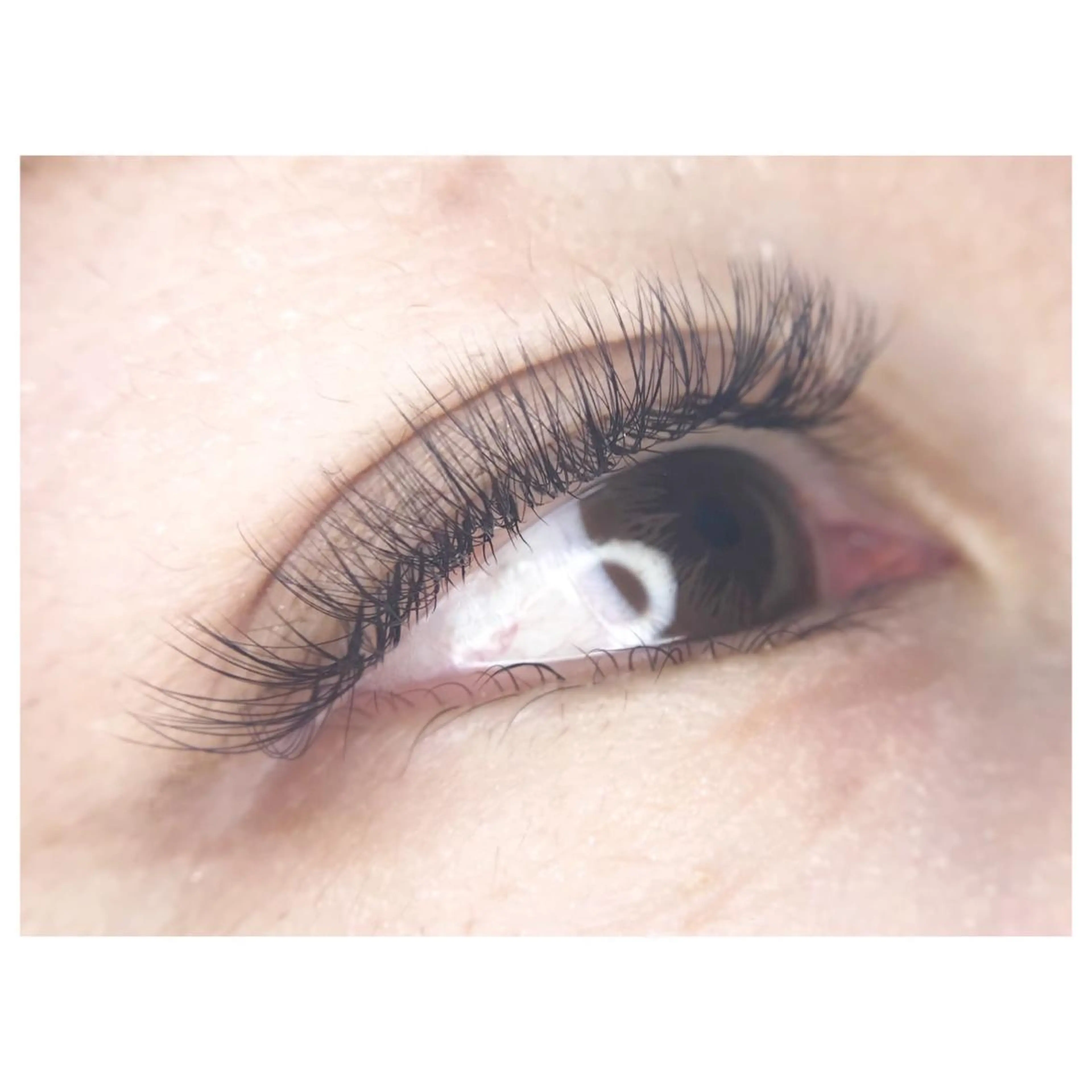 【土日祝】ボリュームラッシュ100束(カラー、オフ代無料)の写真