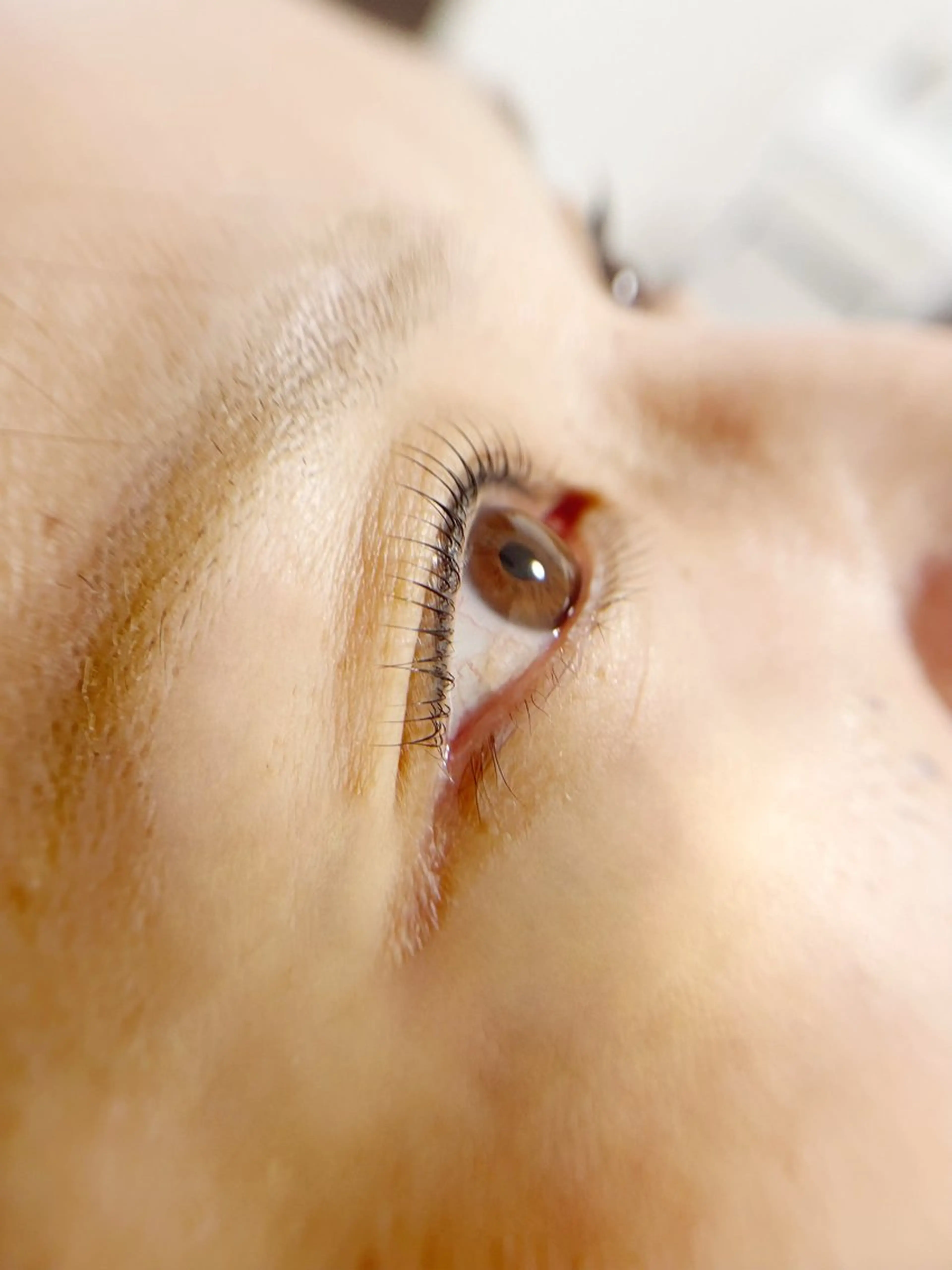 マツエク・マツパ SENA.Eyelash salon柏原店(セナアイラッシュサロン)所属・SENA セナのマツエク・マツパデザイン