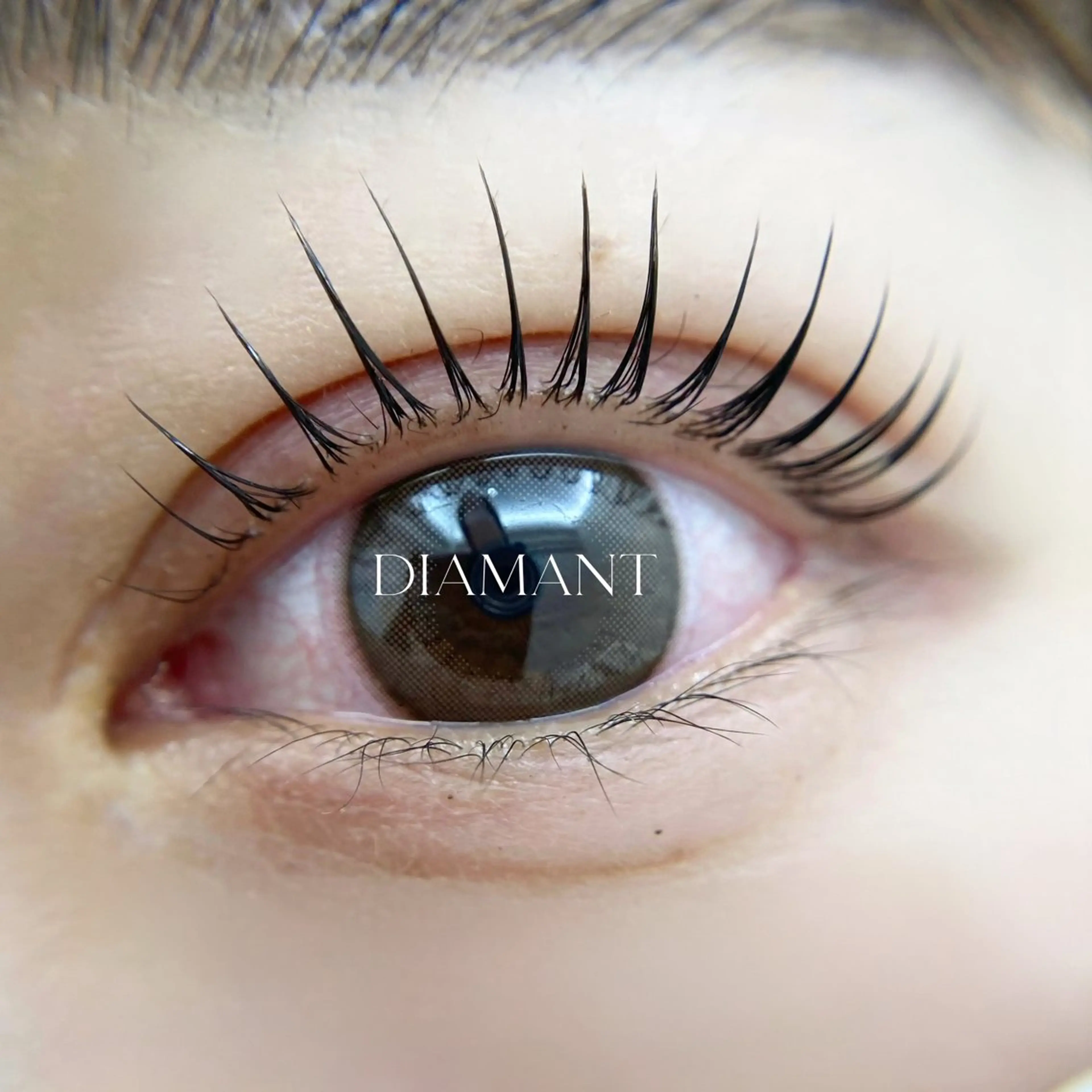 【まつげパーマ】セラムラッシュリフト上 💠3/25(水)９時30～の写真