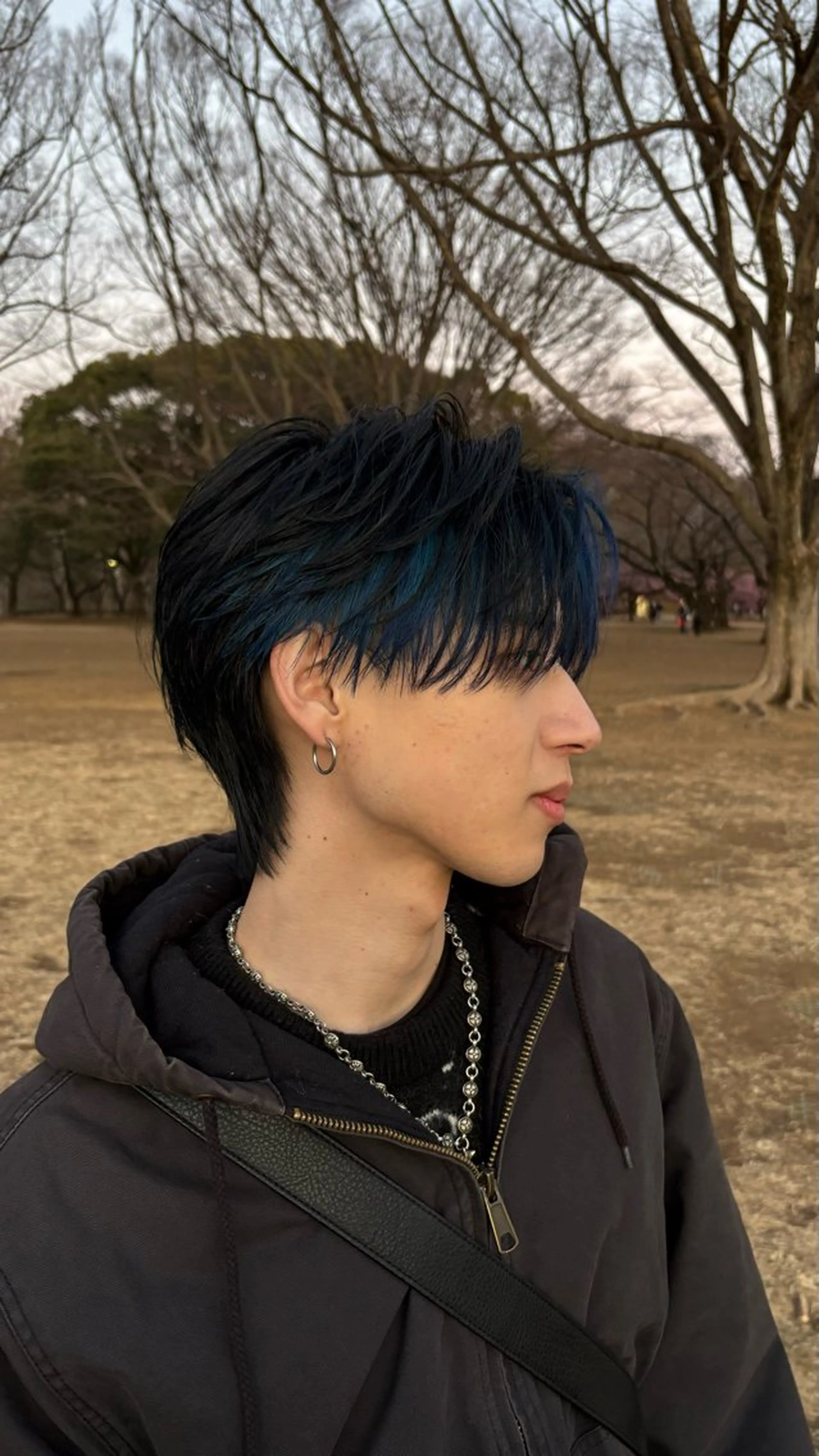 カラーのみの写真