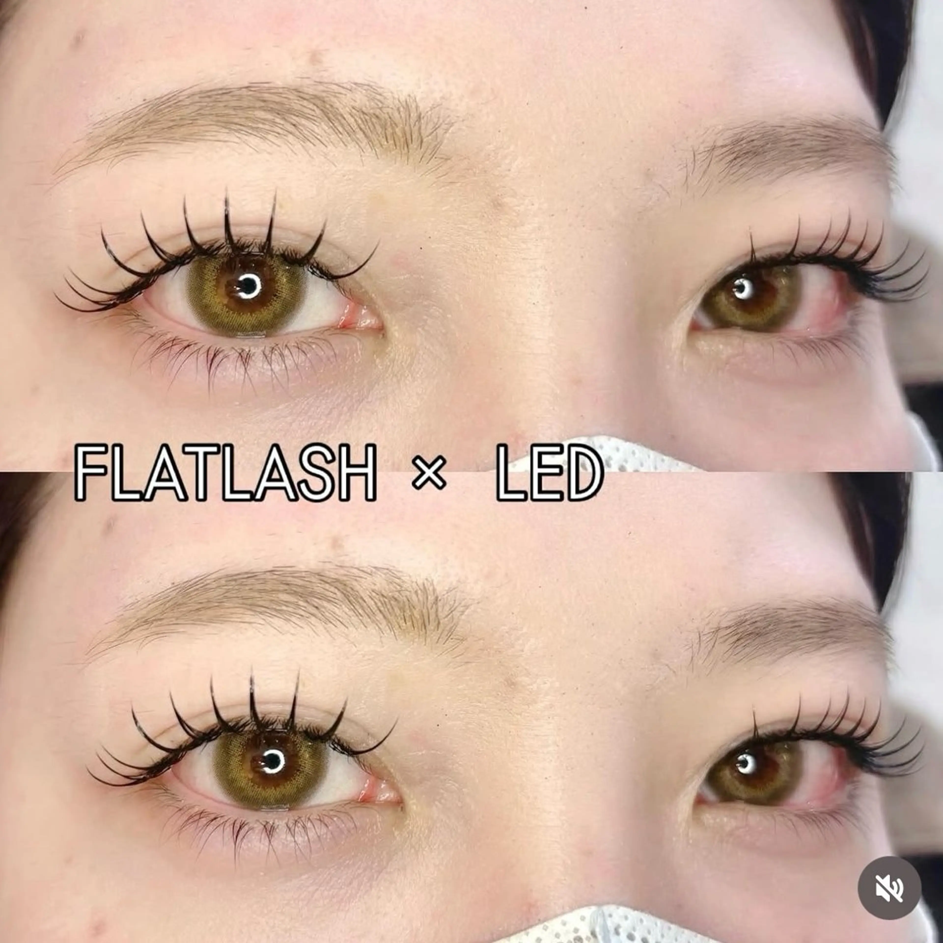 マツエク・マツパ マツエク TURQUOISE所属・TURQUOISE 西武池袋線東長崎のマツエク・マツパデザイン