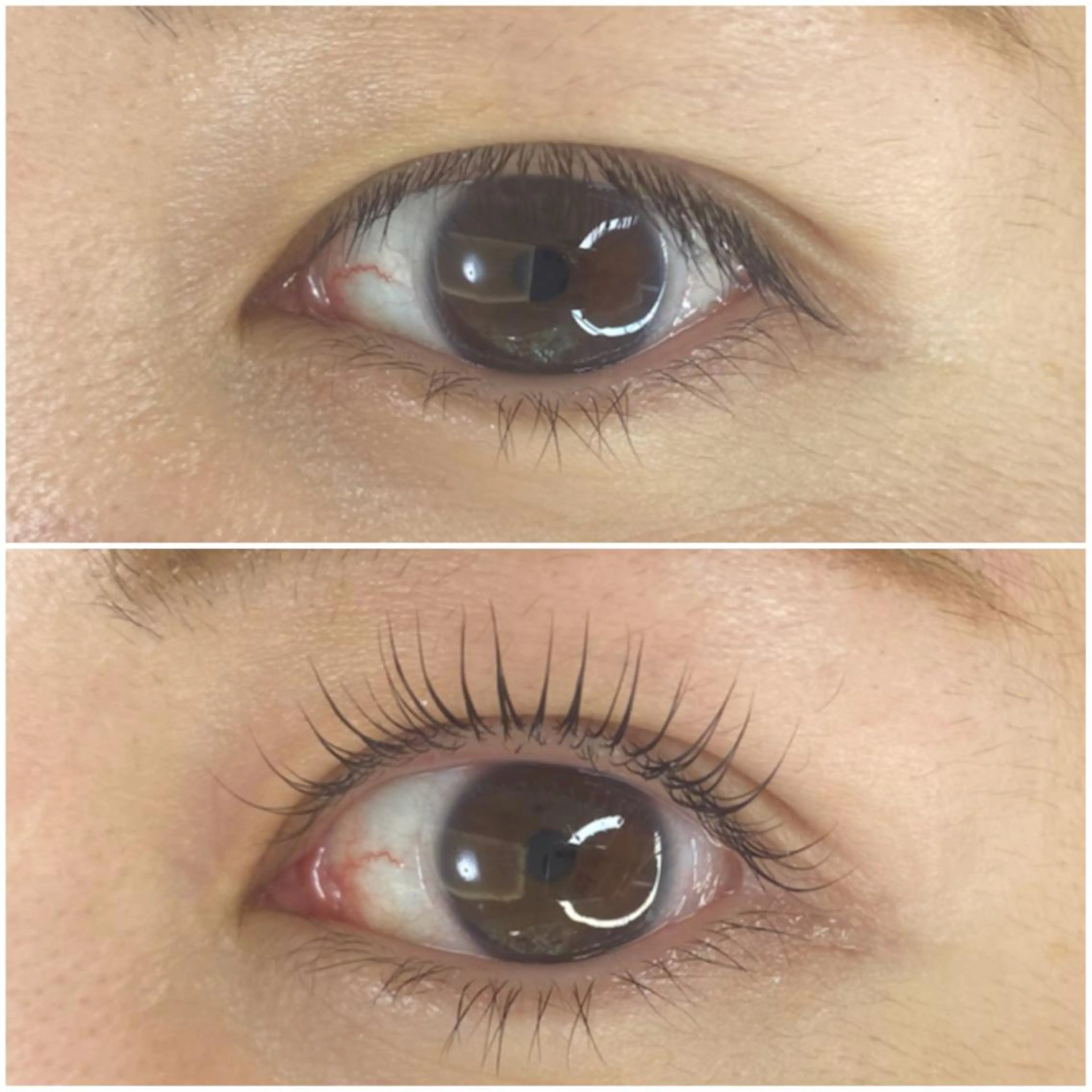 マツエク・マツパ Dカール マツパ Bloomy.所属・【Bloomy.】 竹内のマツエク・マツパデザイン