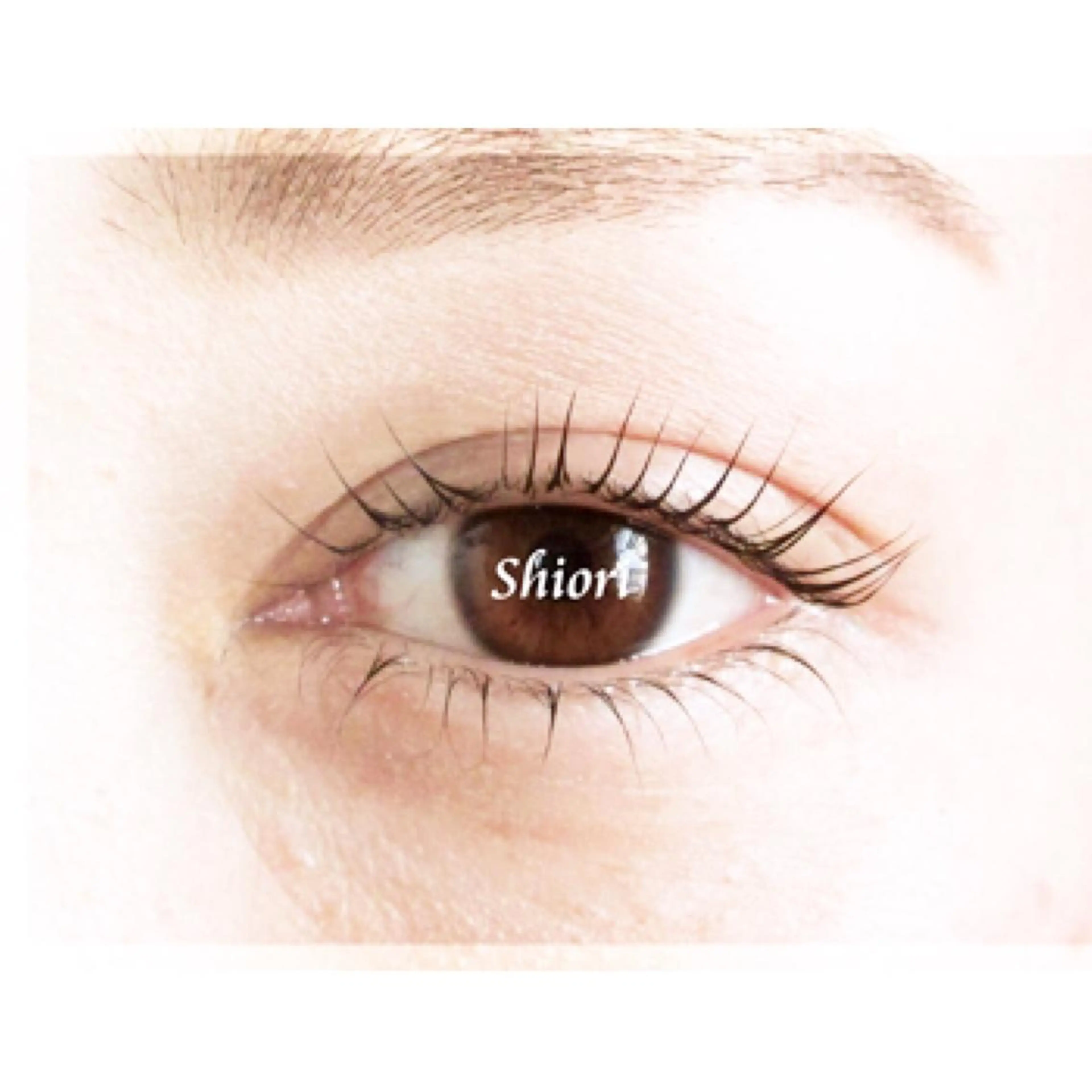 根元くっきり立ち上げパーマ（上or下）の写真