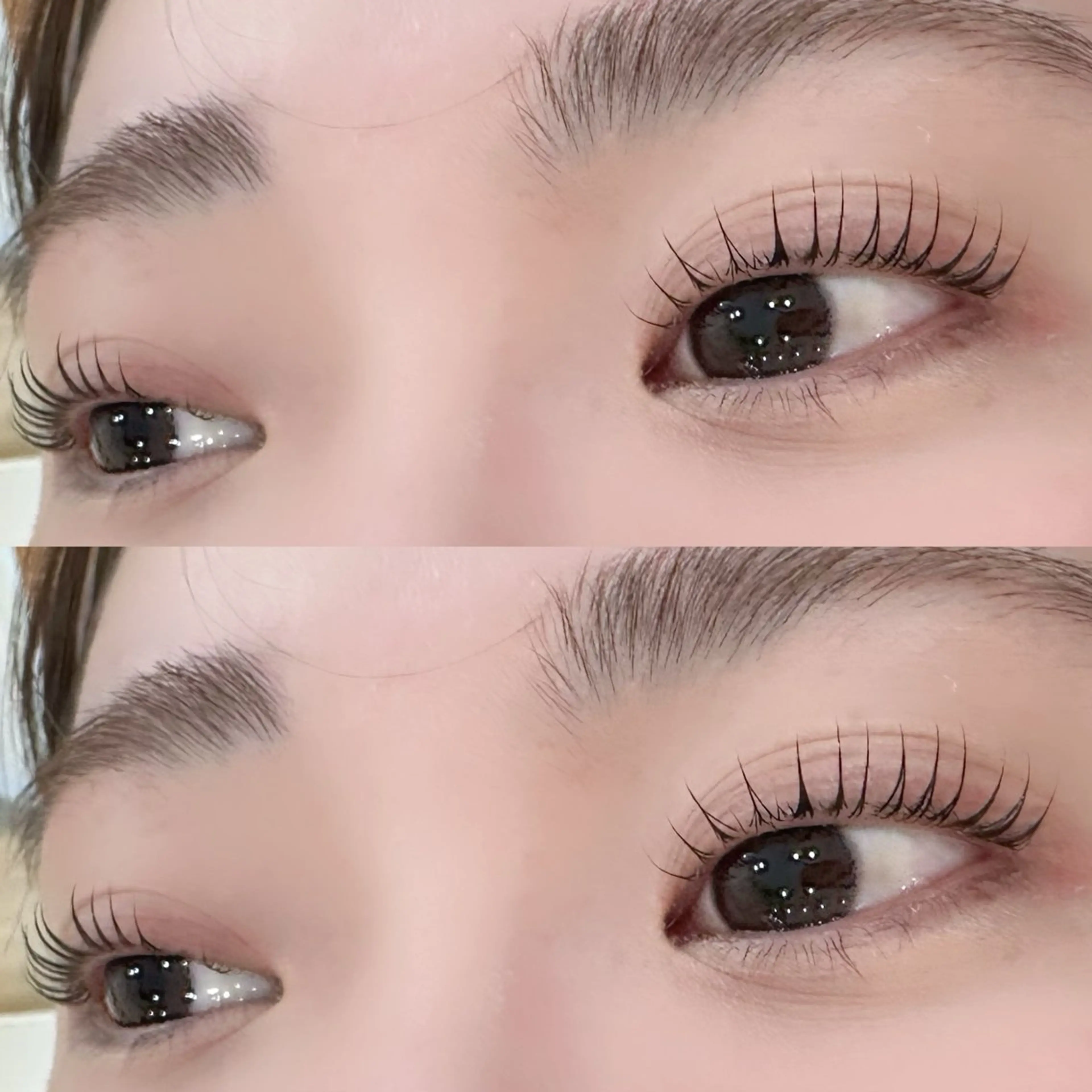 マツエク・マツパ マリーテレジア 🍬KOJIMAのマツエク・マツパデザイン