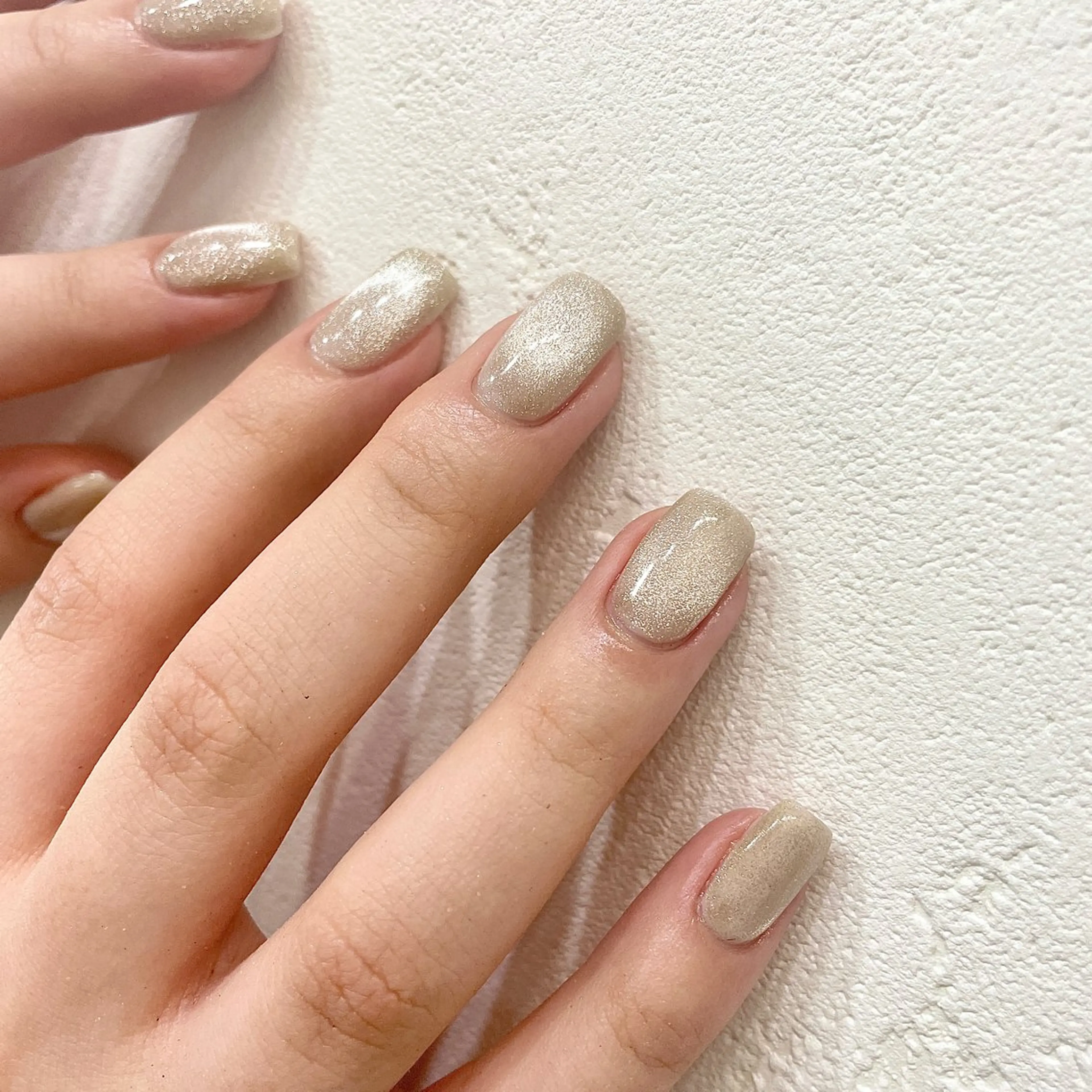 ネイル 氷ネイル・うるうるネイル 韓国ネイル マグネットネイル マグネットワンカラー ミラーネイル ハンドネイル 園田 ソノダのネイルデザイン