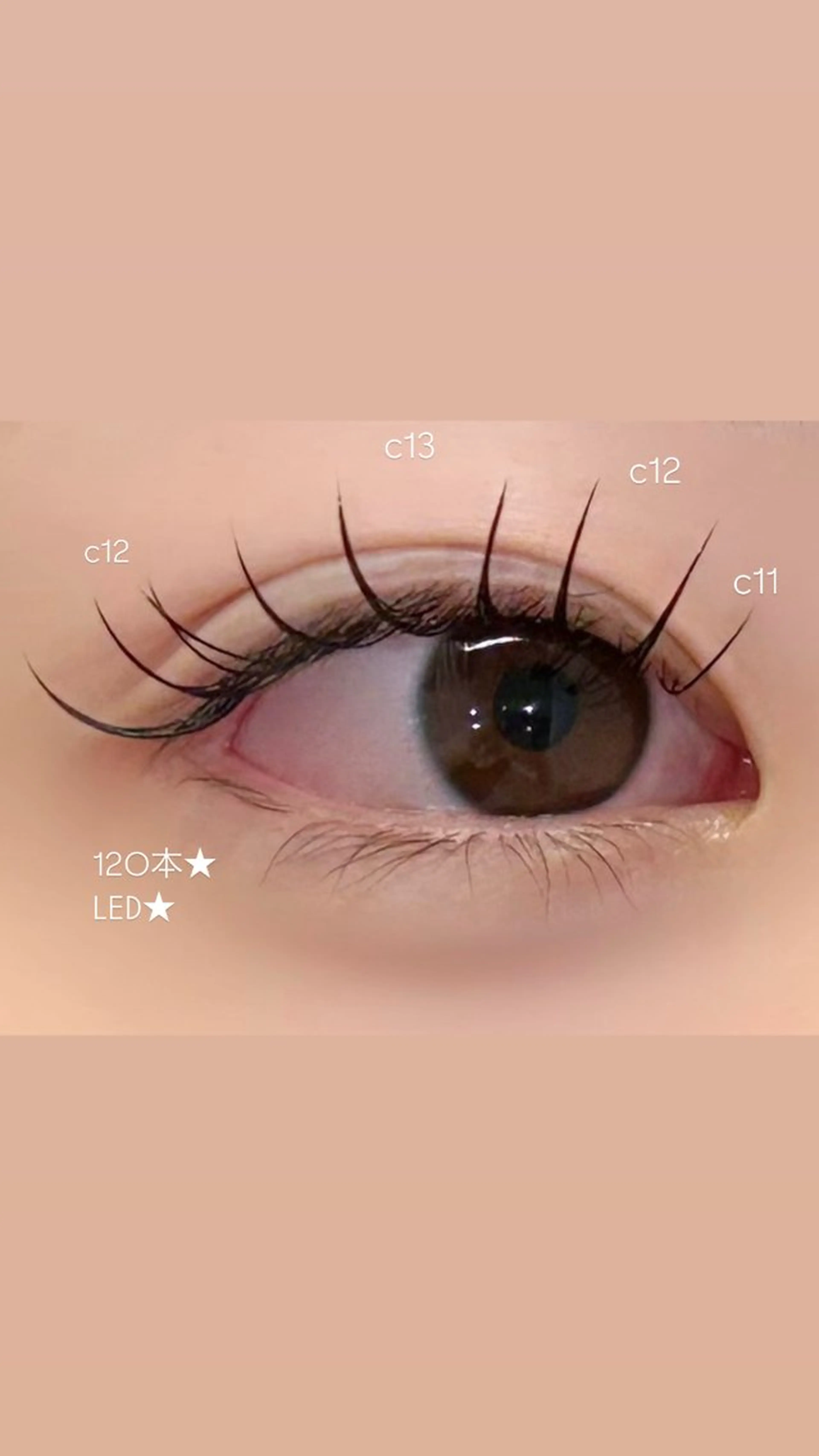 【再来】🎀マツエクモデル🎀保証100本/リペア🤍LED＋500円の写真