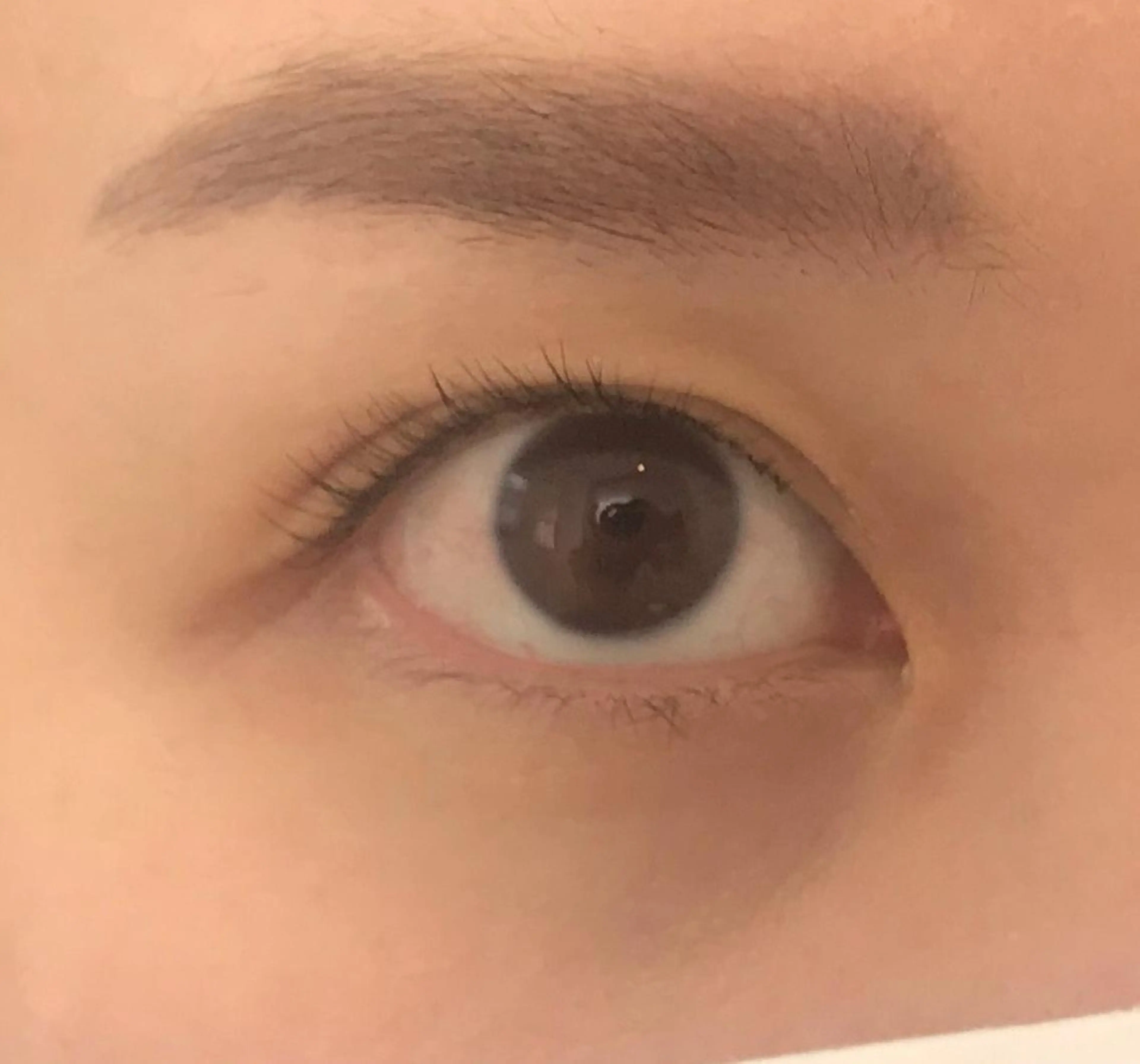 マツエク・マツパ パリジェンヌラッシュリフト 木村 (キムラ)のマツエク・マツパデザイン