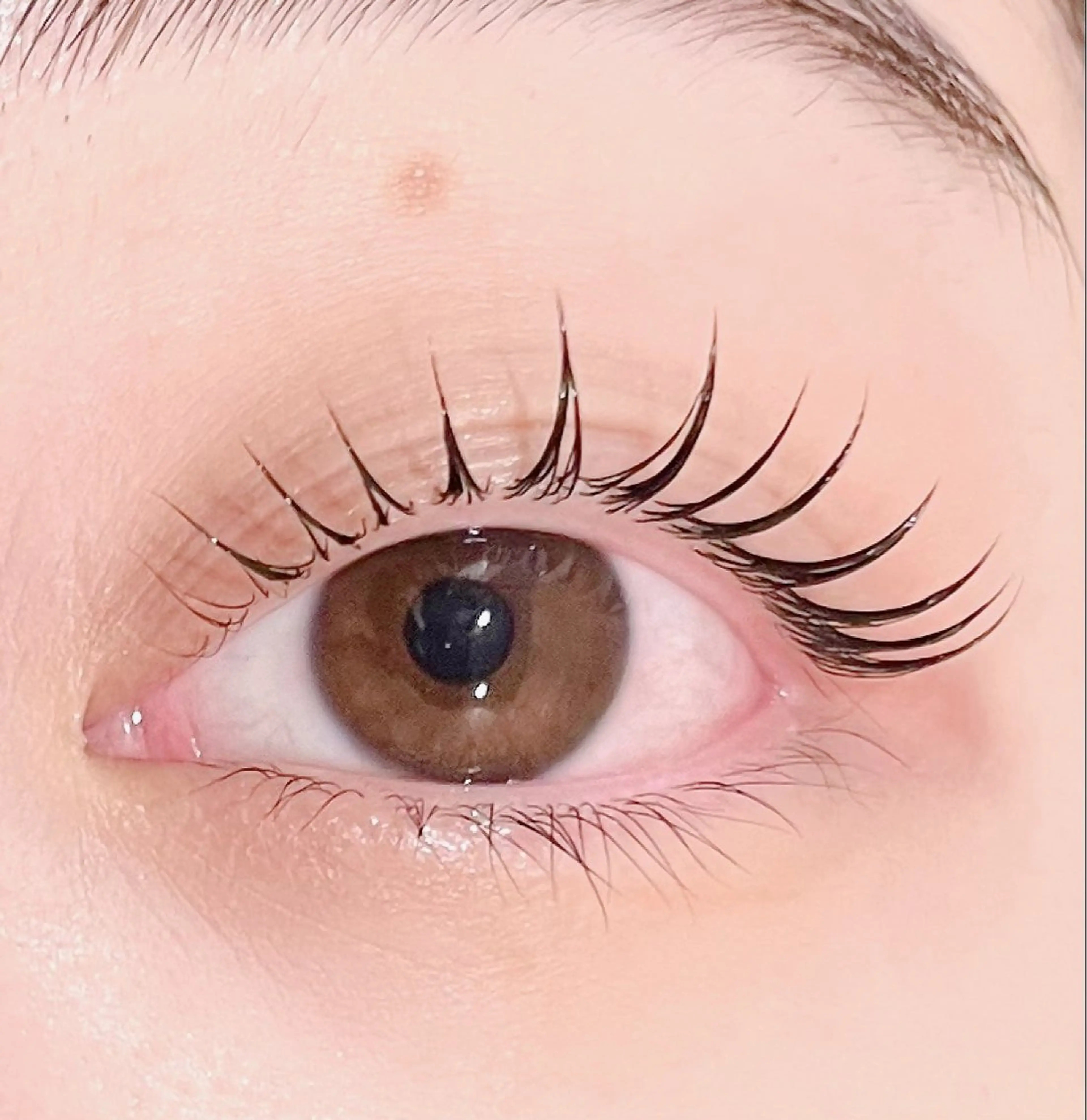 マツエク・マツパ マツパ mecotto大宮店 店長MAKI似合わせのマツエク・マツパデザイン