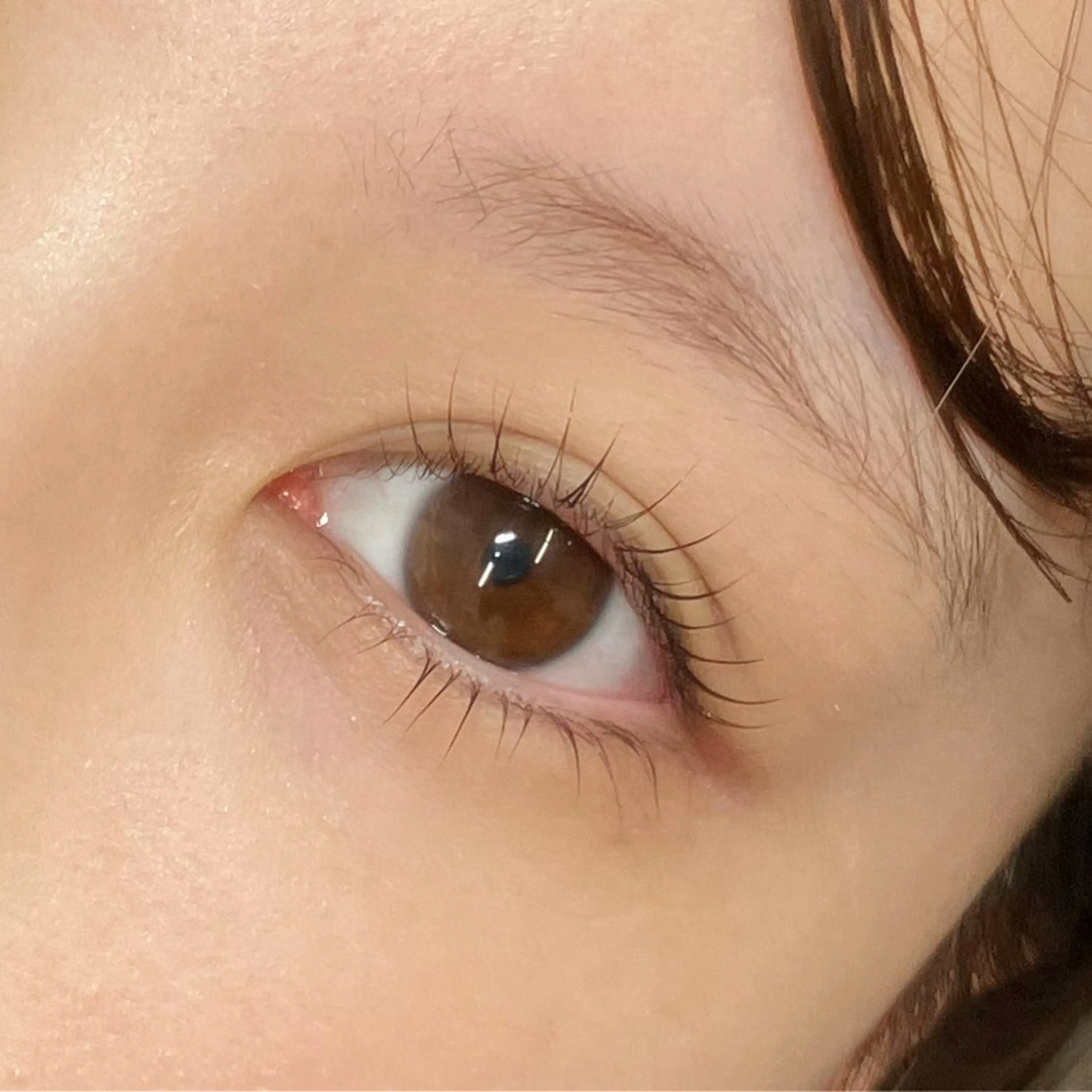 マツエク・マツパ まつげと眉毛のお店Sakura Lash【サクララッシュ】所属・【ダメージケア特化】 🌸 サクララッシュの眉毛・アイブロウイメージ