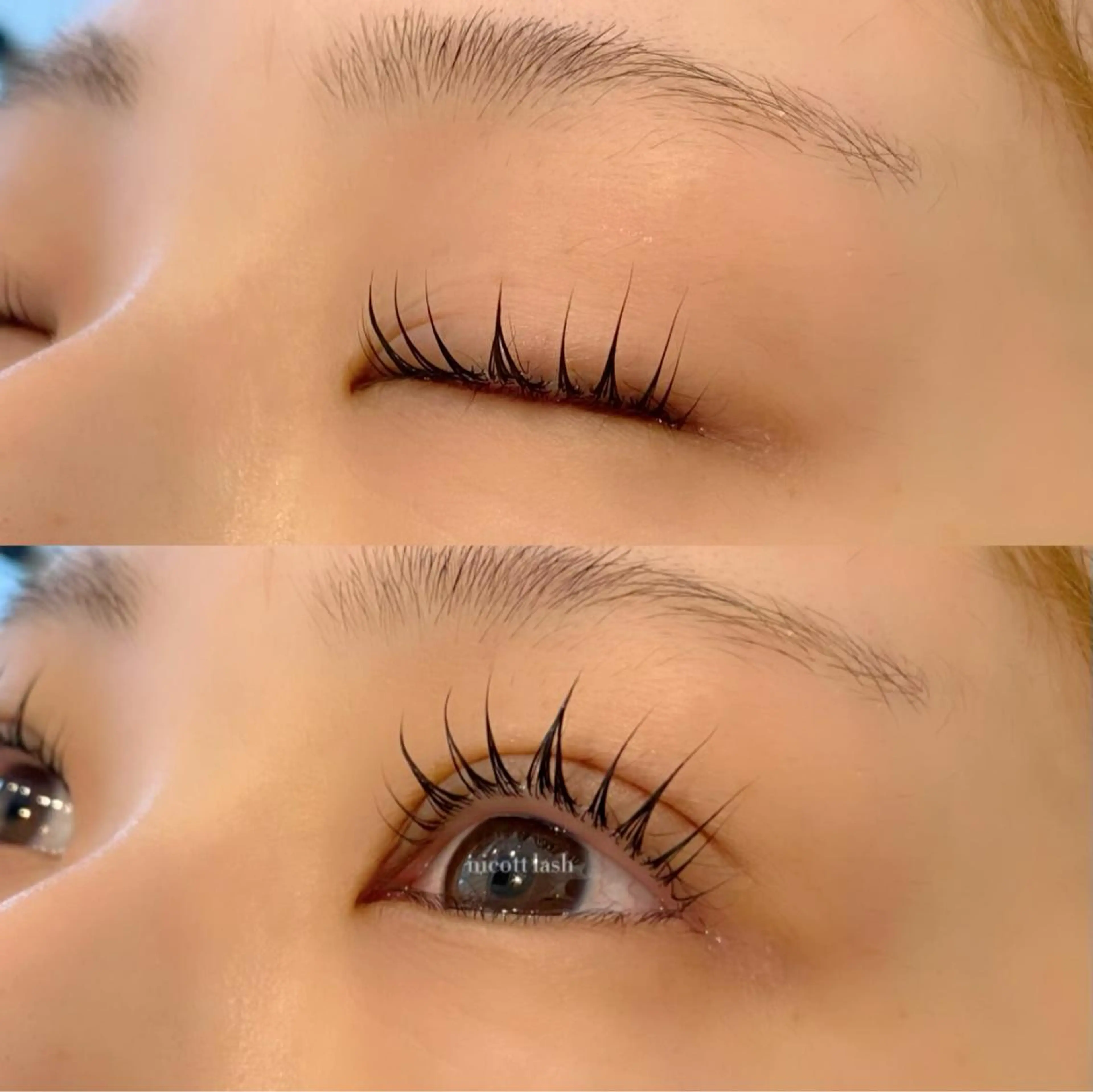 マツエク・マツパ パリジェンヌラッシュリフト デイジーラッシュ 天王寺　南のマツエク・マツパデザイン