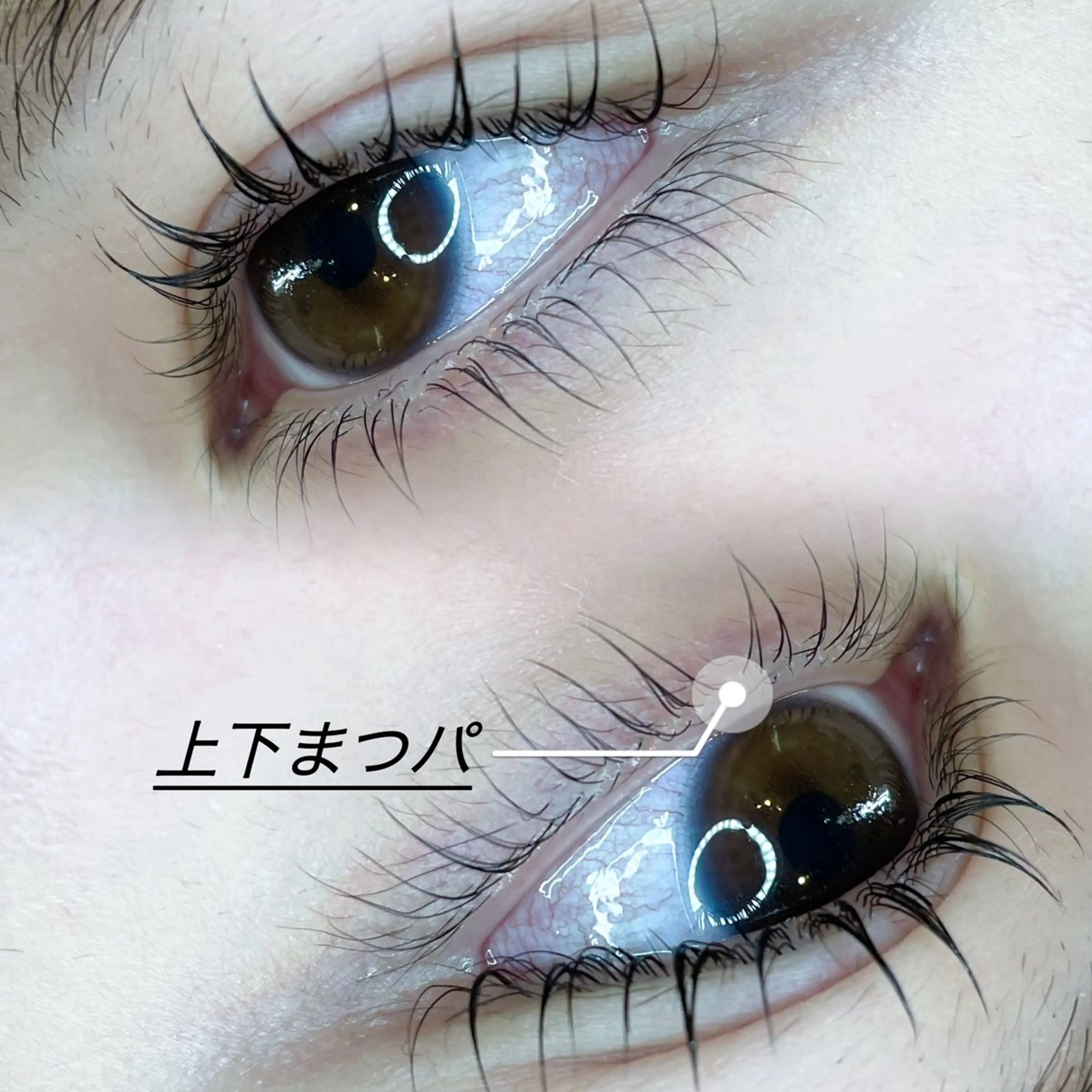 🌹まつげパーマ上下🌹の写真