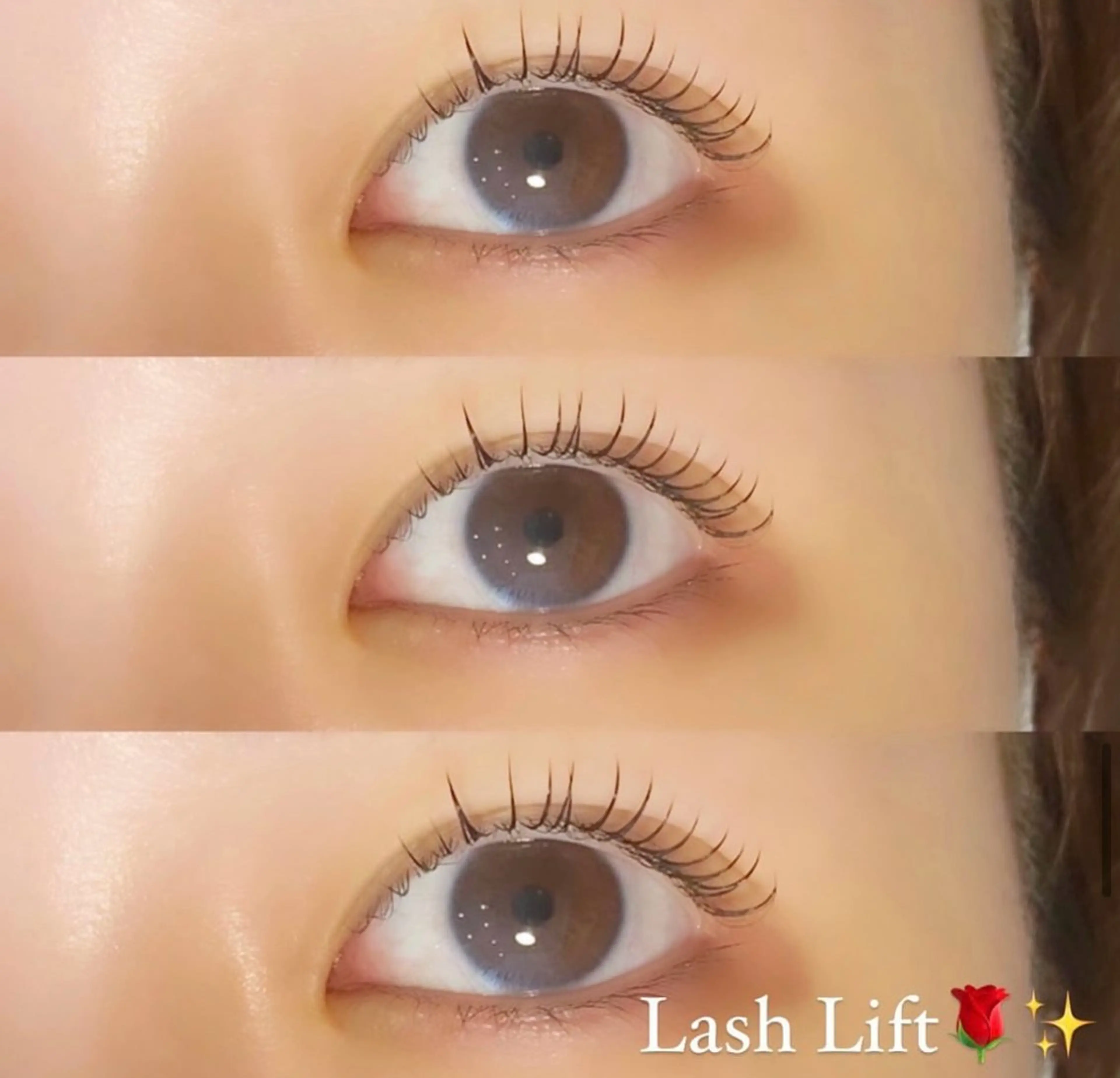 【当日予約ご新規様限定】まつ毛パーマ✨の写真