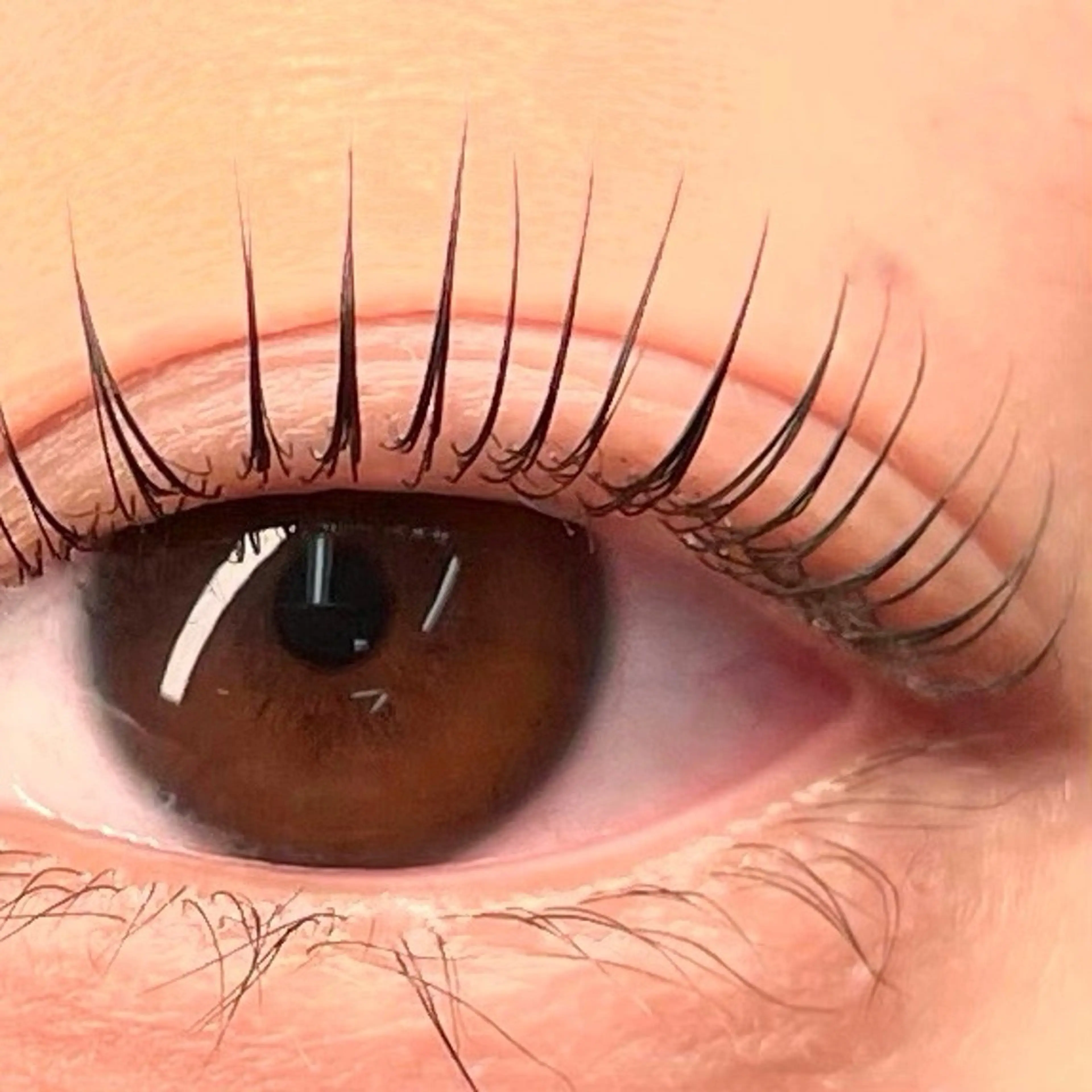 ラッシュリフトの写真