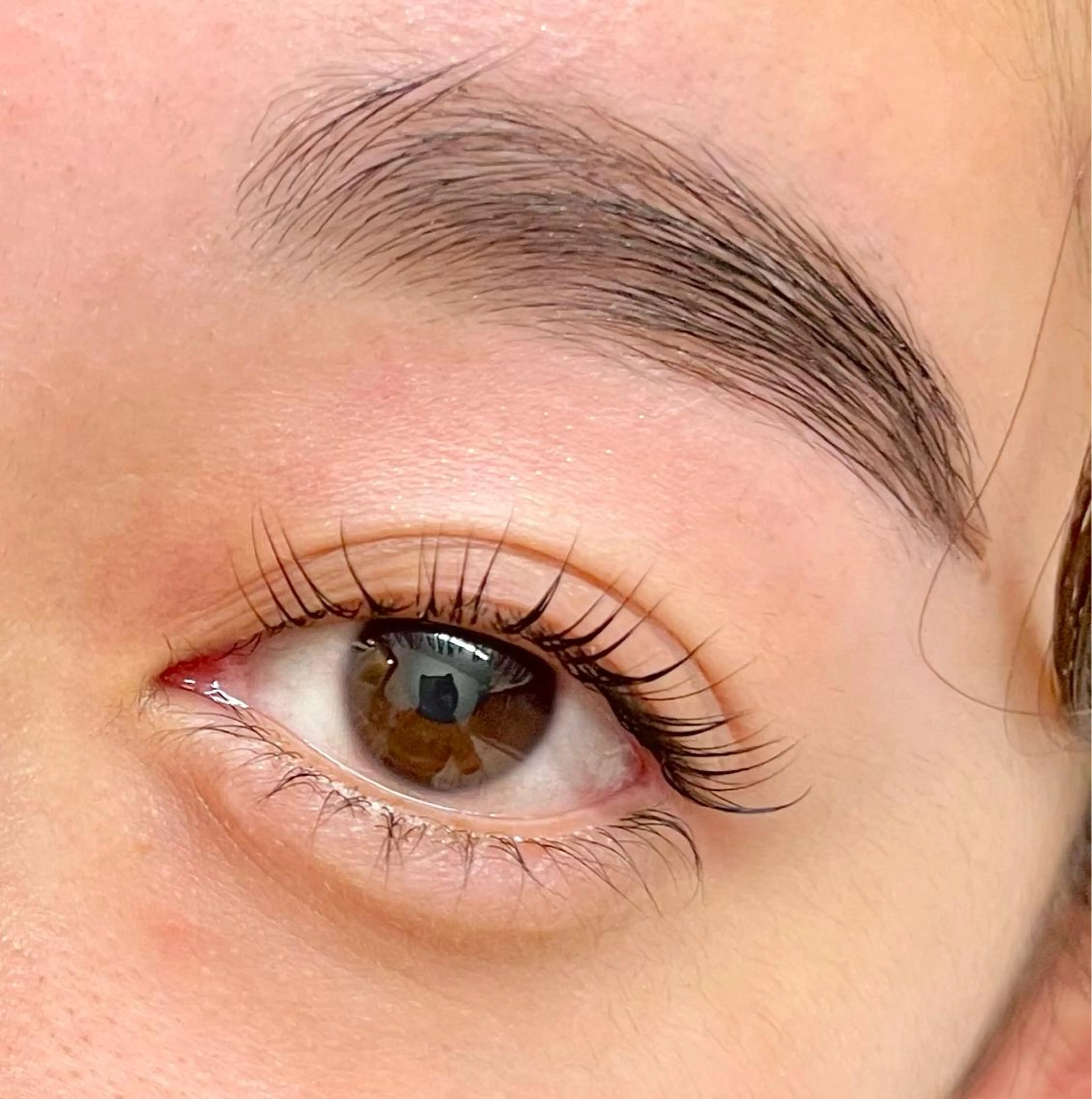 マツエク・マツパ アイブロウ ワックス脱毛 その他(アイブロウ) Camarón まつ毛&眉毛サロンのマツエク・マツパデザイン