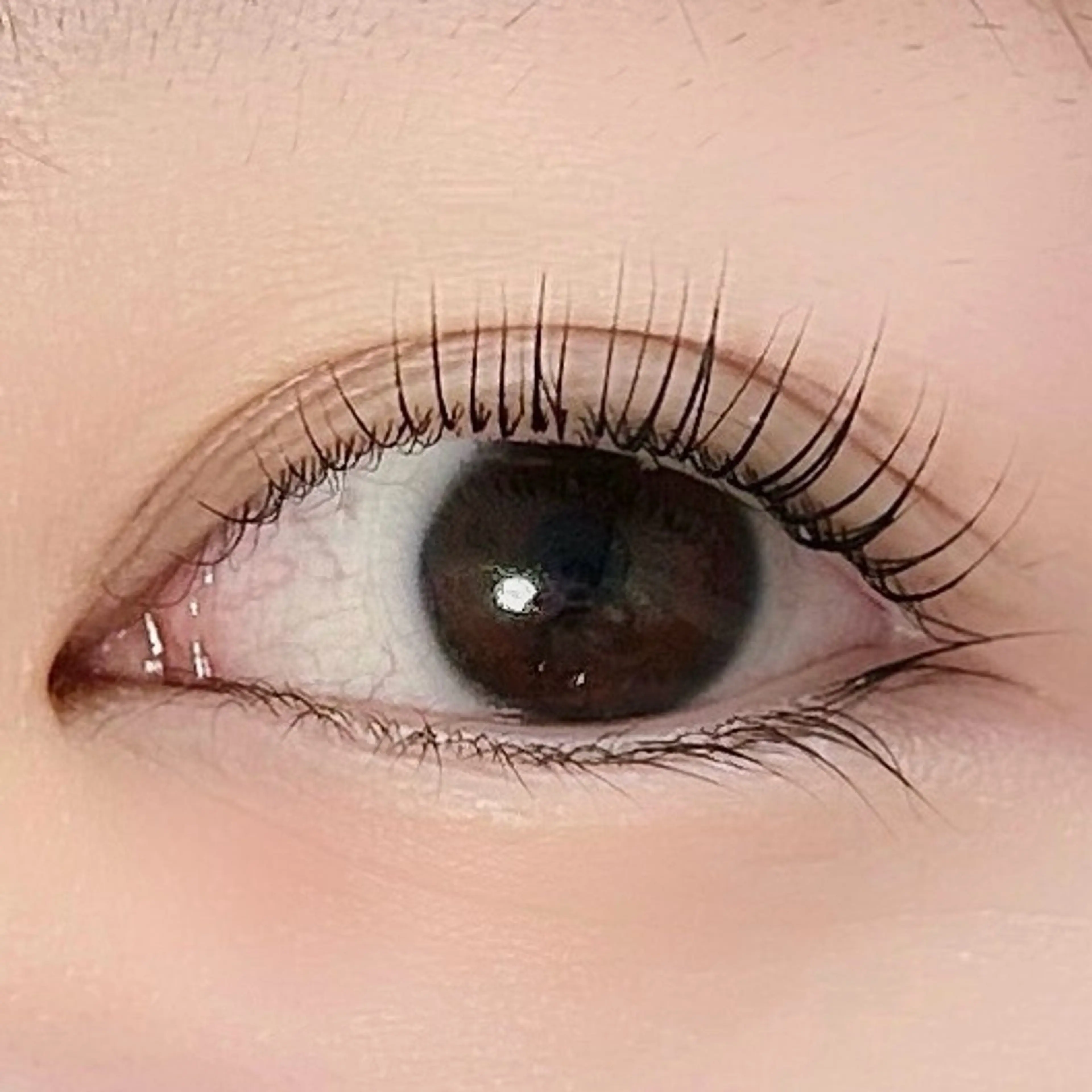 マツエク・マツパ Salon   iroha所属・Salon irohaのマツエク・マツパデザイン