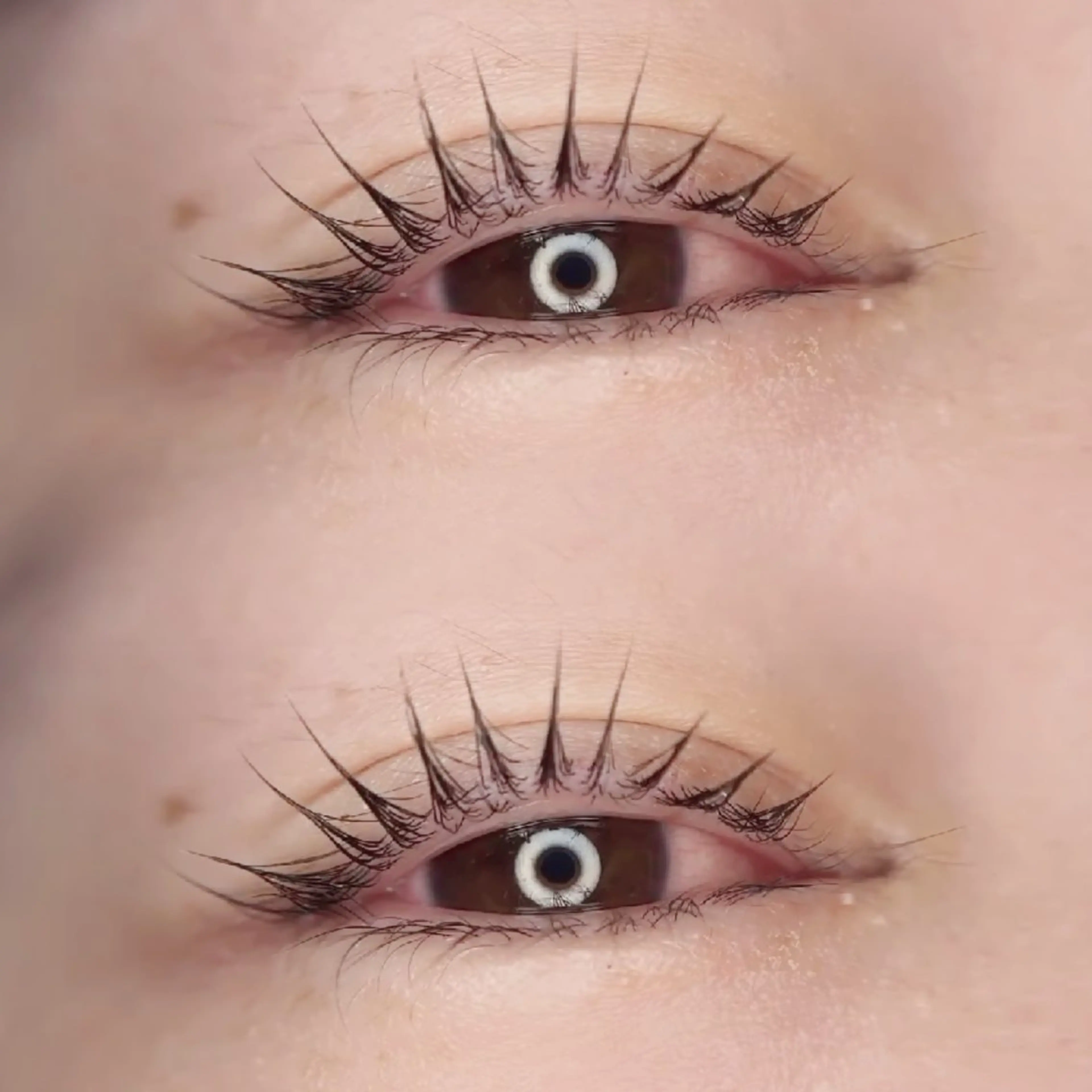 マツエク・マツパ パリジェンヌラッシュリフト まつげパーマ 一重×まつ毛パーマ マツパ 🦋MaaZlash 南流山FUKA🤍のマツエク・マツパデザイン